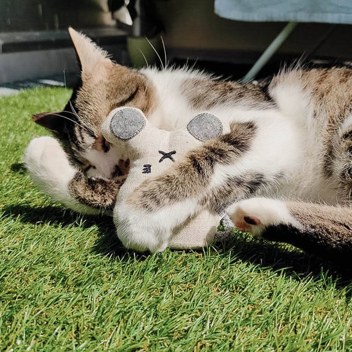 Katzenspielzeug mit Katzenminze -3er Set- inkl.Refill