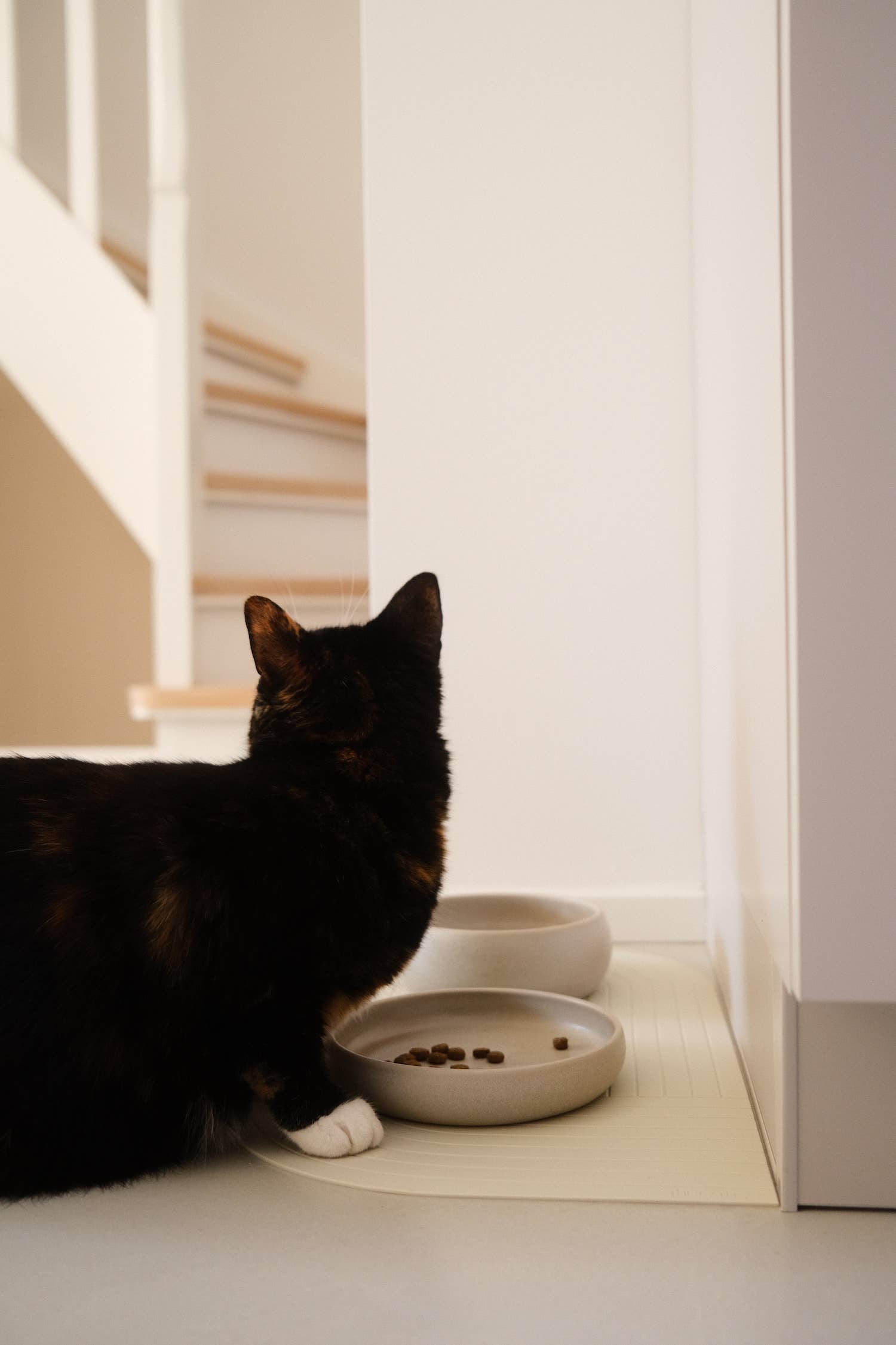 Gourmet Wassernapf Creme