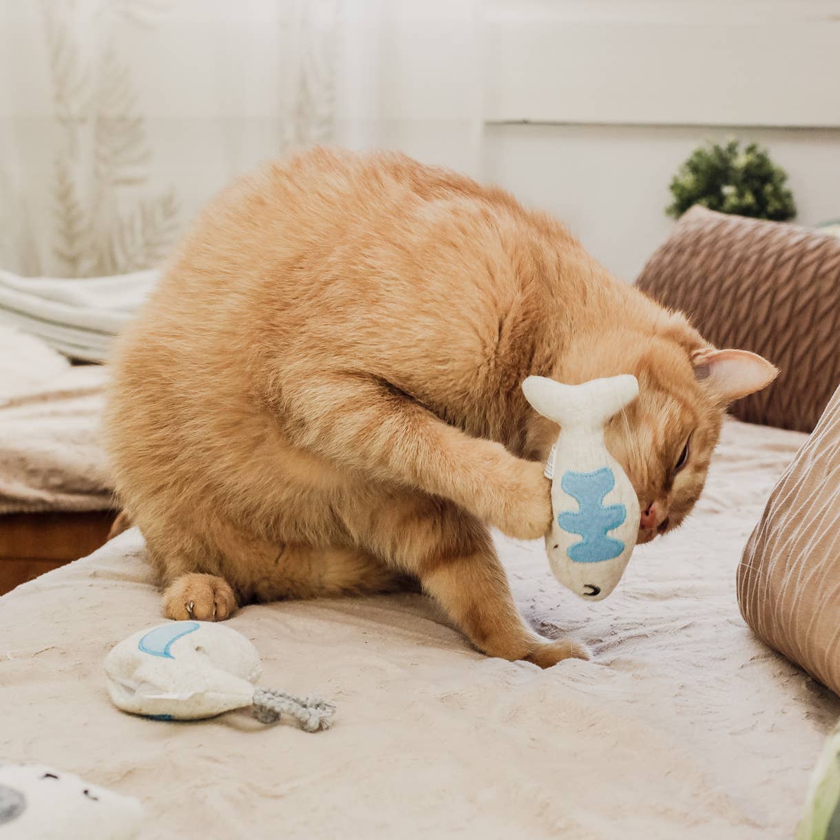 Katzenspielzeug mit Baldrian -3er Set- inkl. Refill