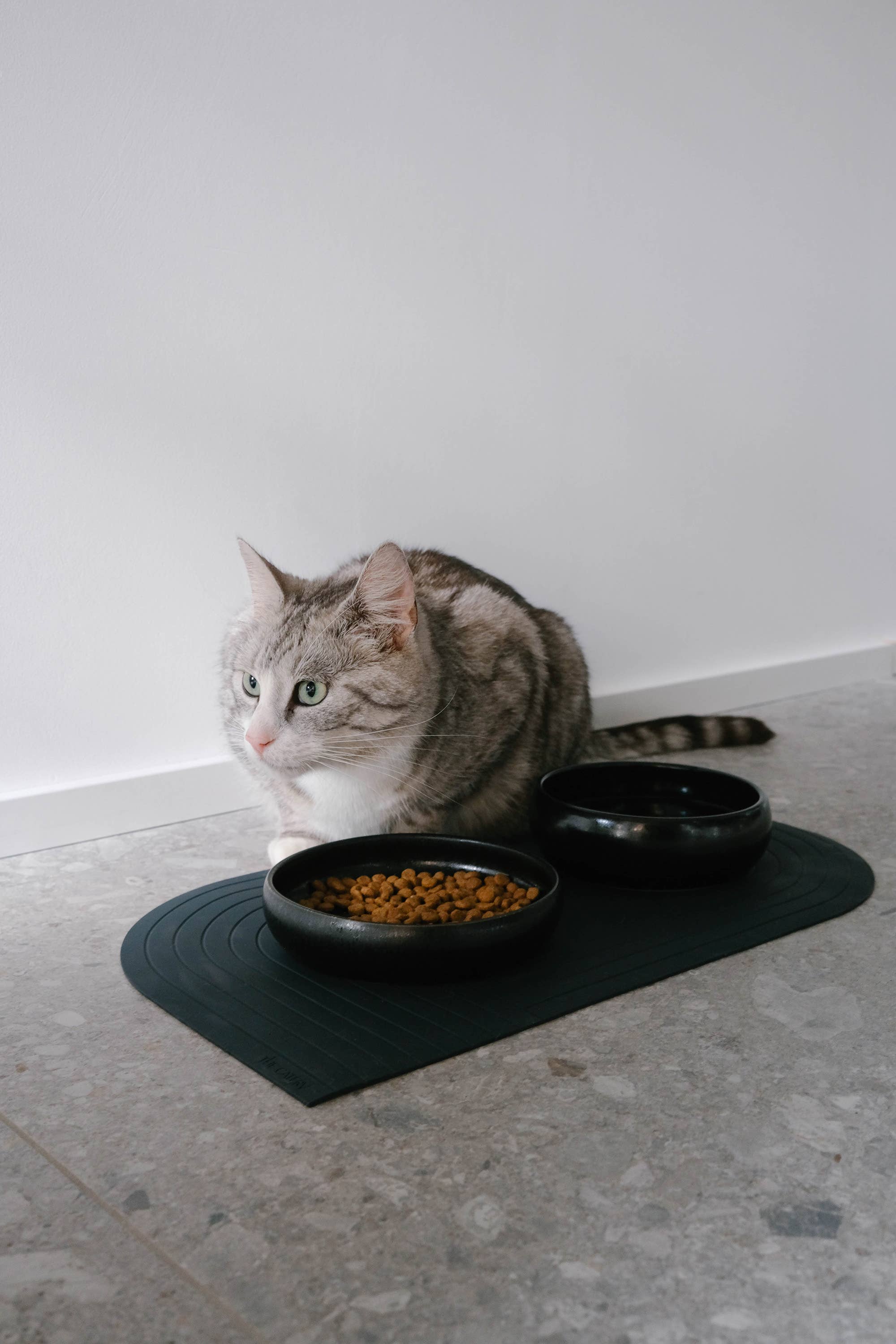 Gourmet Wassernapf Schwarz