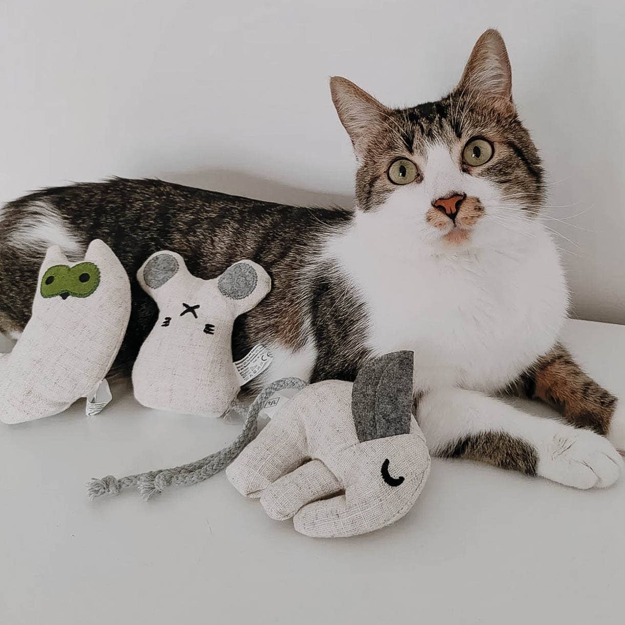 Katzenspielzeug mit Katzenminze -3er Set- inkl.Refill