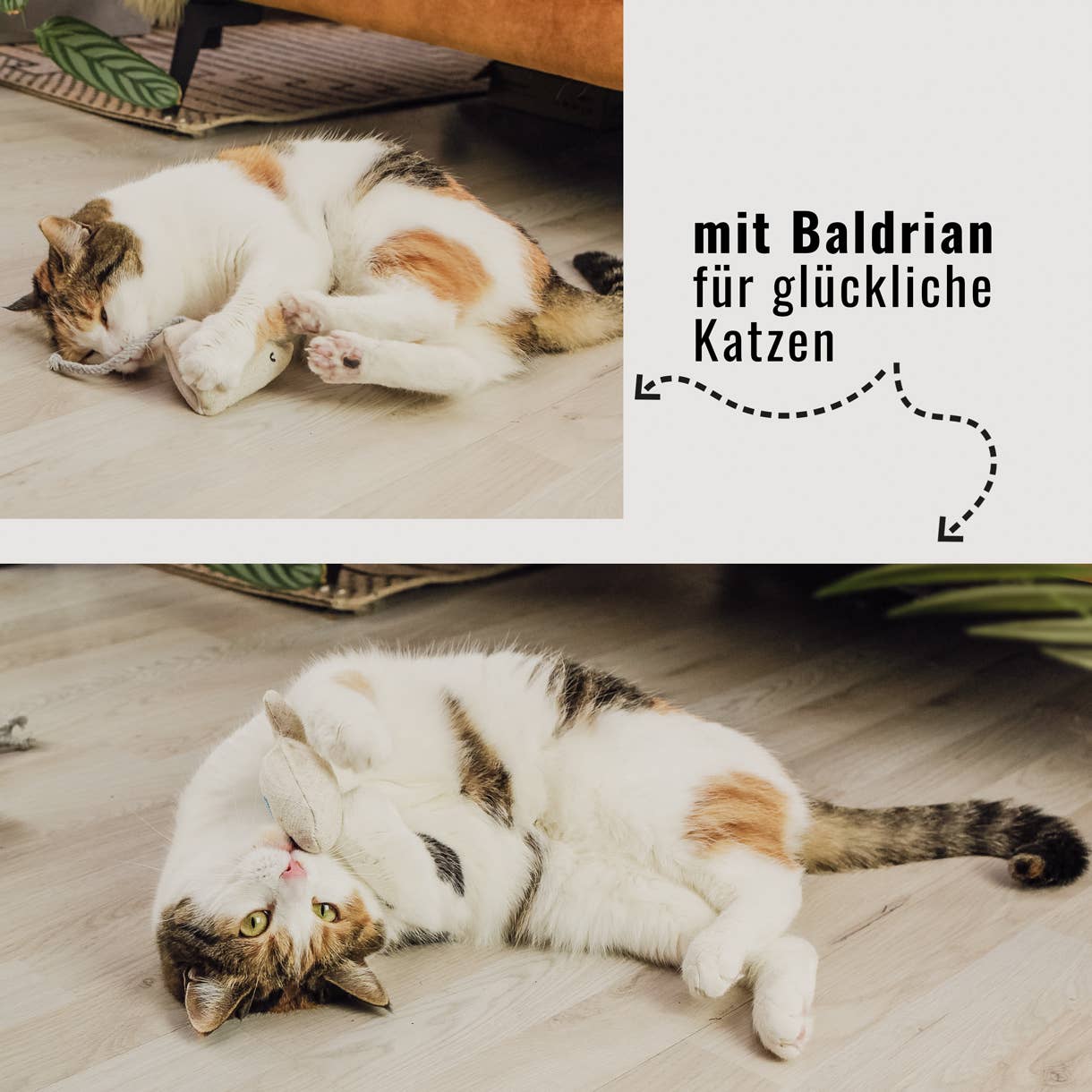 Katzenspielzeug mit Baldrian -3er Set- inkl. Refill