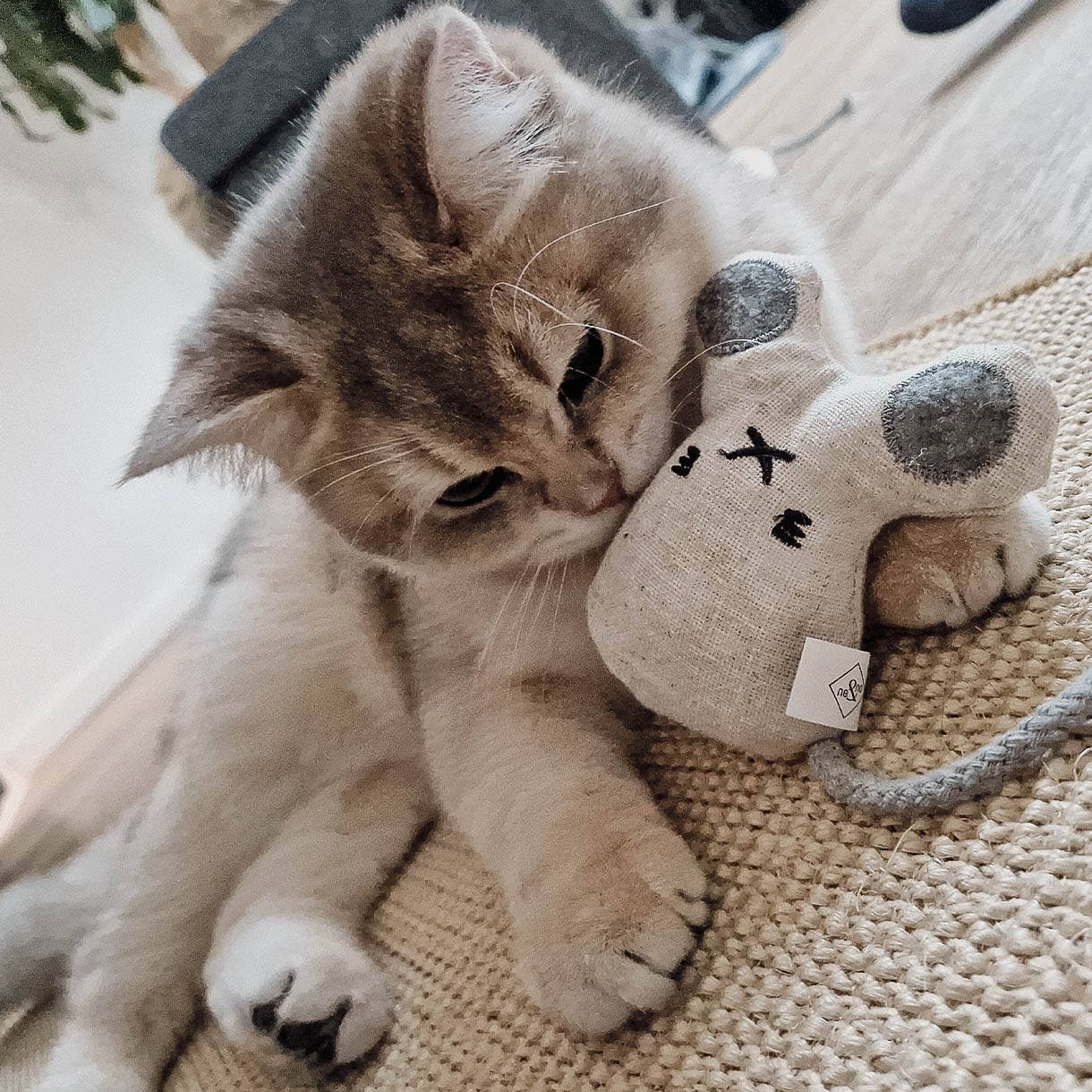 Katzenspielzeug mit Katzenminze -3er Set- inkl.Refill