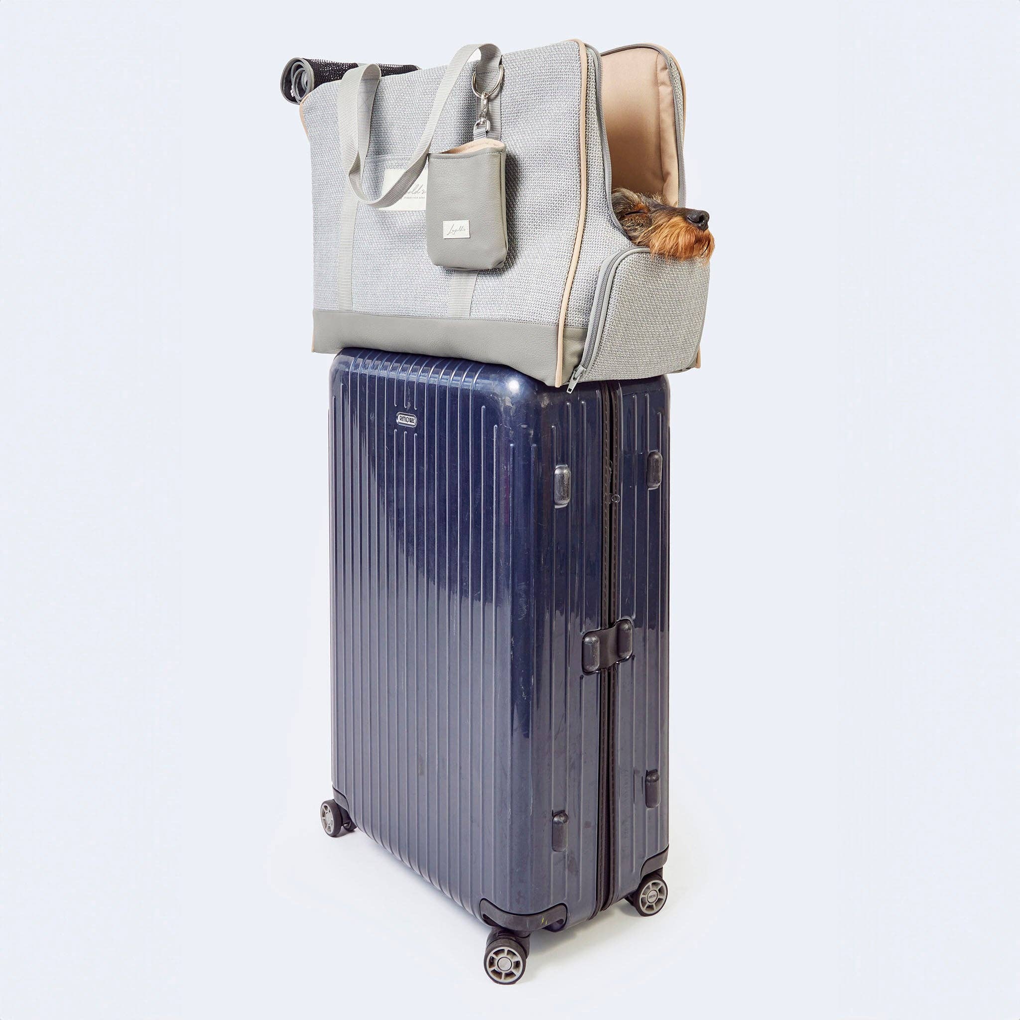 Flugtasche für Dackel und kleine Hunde mit orthopädischer Matratze