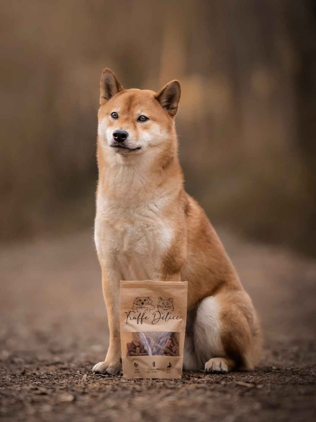 Truffe Délice - Lachs-Leckereien