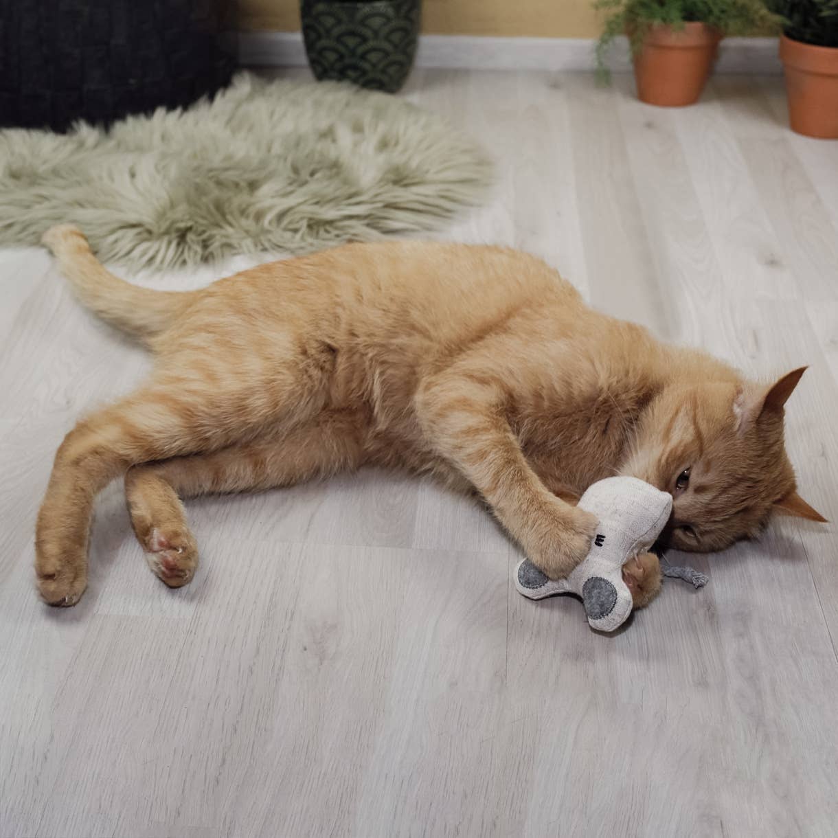 Katzenspielzeug mit Katzenminze -3er Set- inkl.Refill