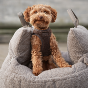 Staey Lara 3-in-1 Hundeautositz | Teddy