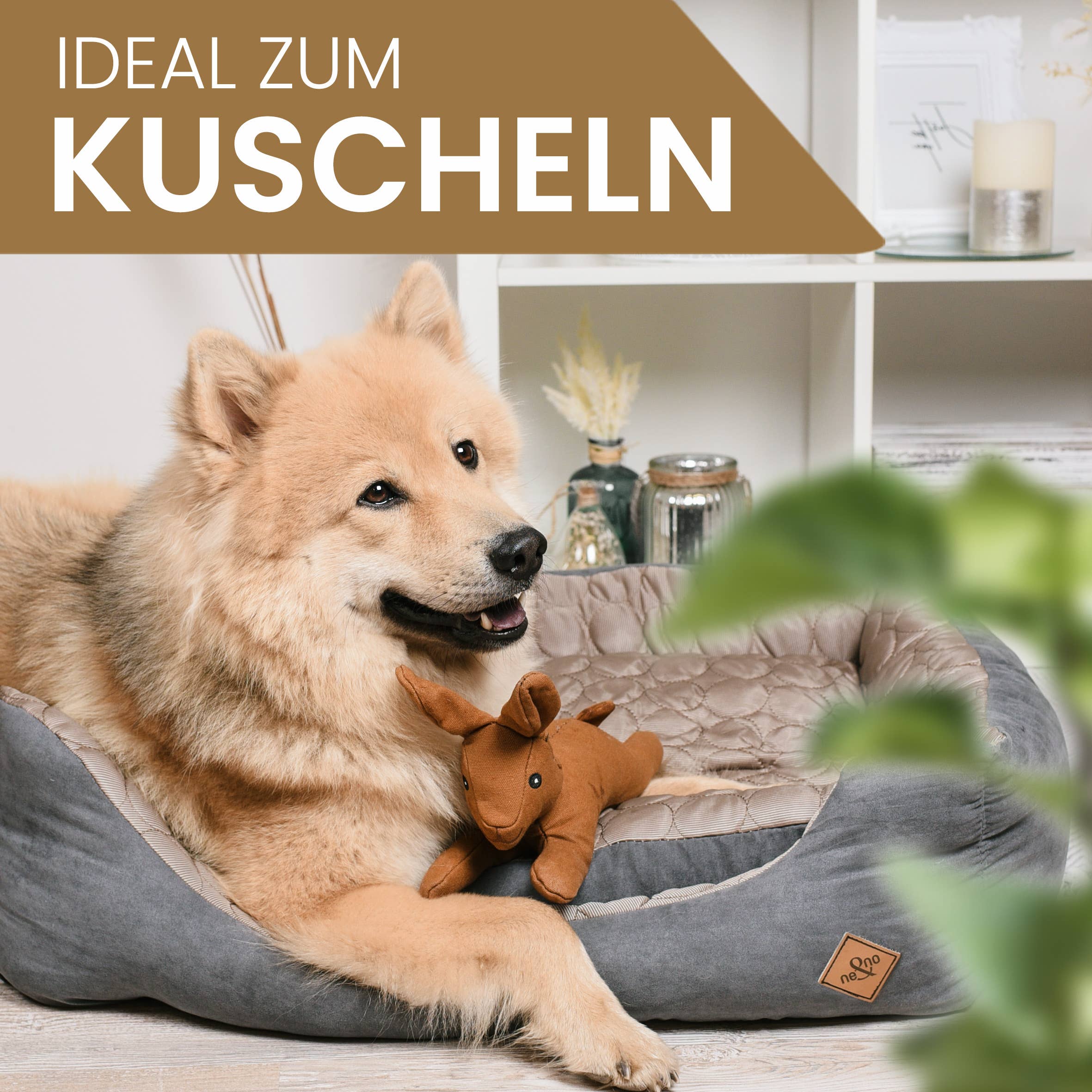 Robustes Hundespielzeug mit Quietscher - Hase Haru