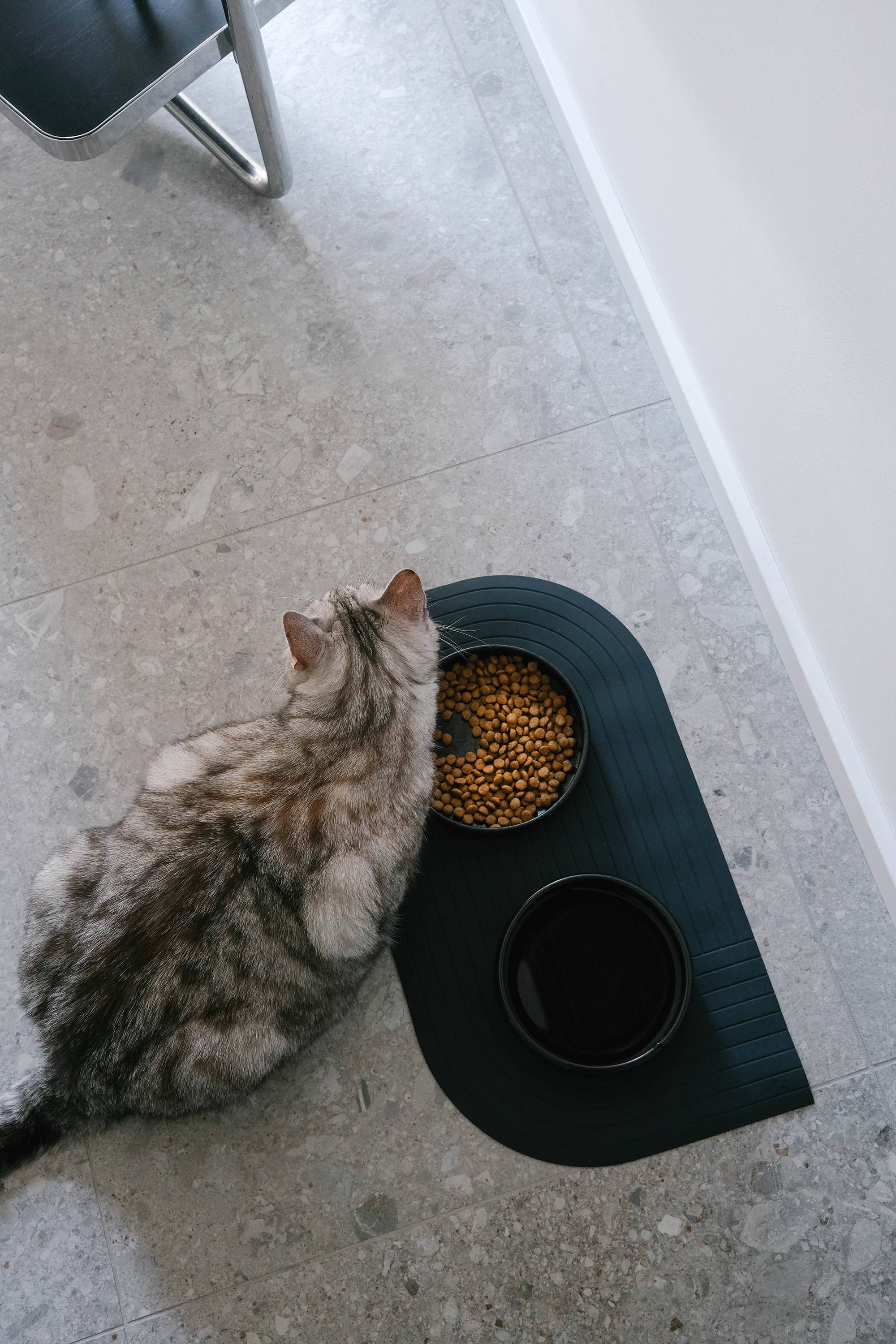 Gourmet Futternapf Schwarz