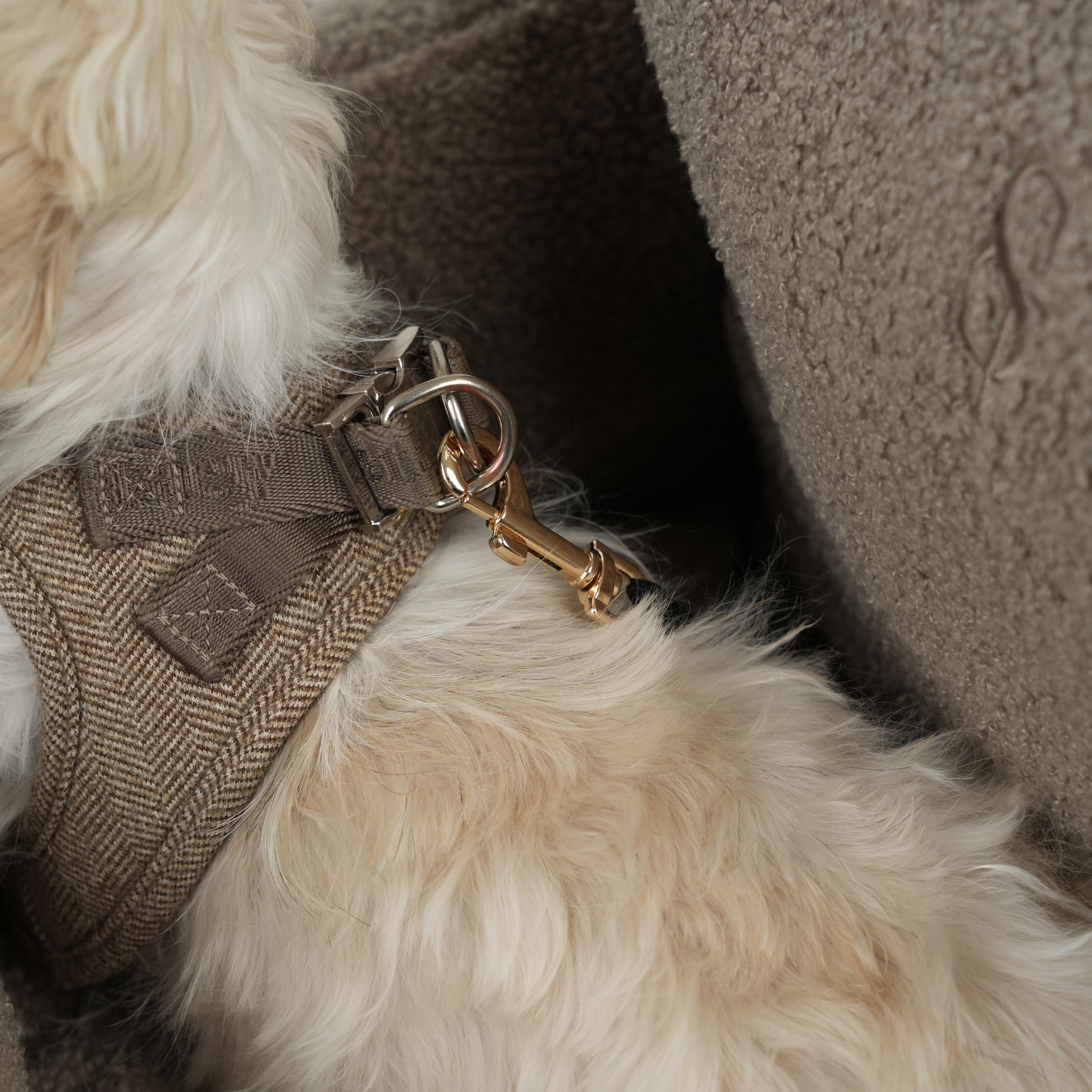 Autositz Lara | Teddy