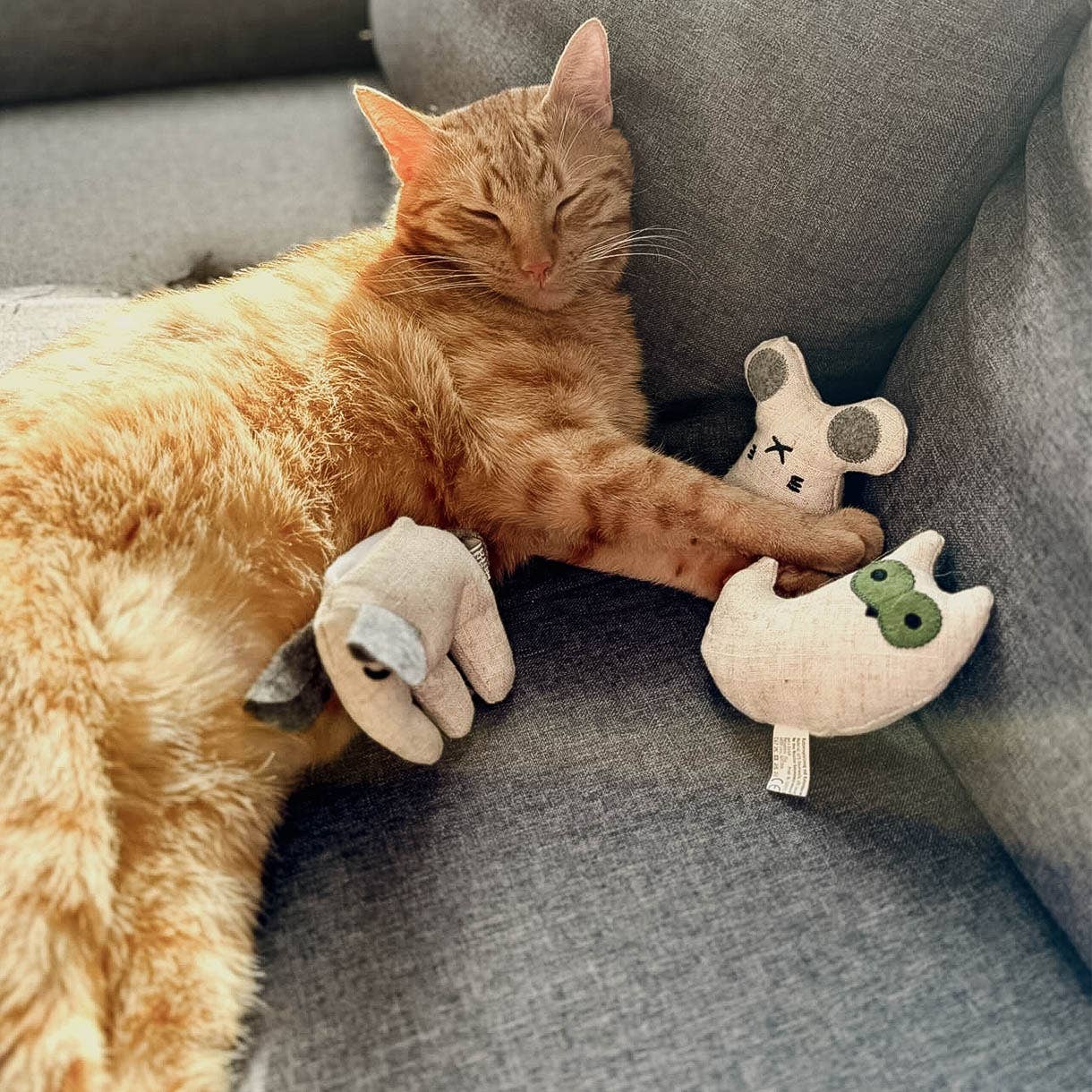 Katzenspielzeug mit Katzenminze -3er Set- inkl.Refill