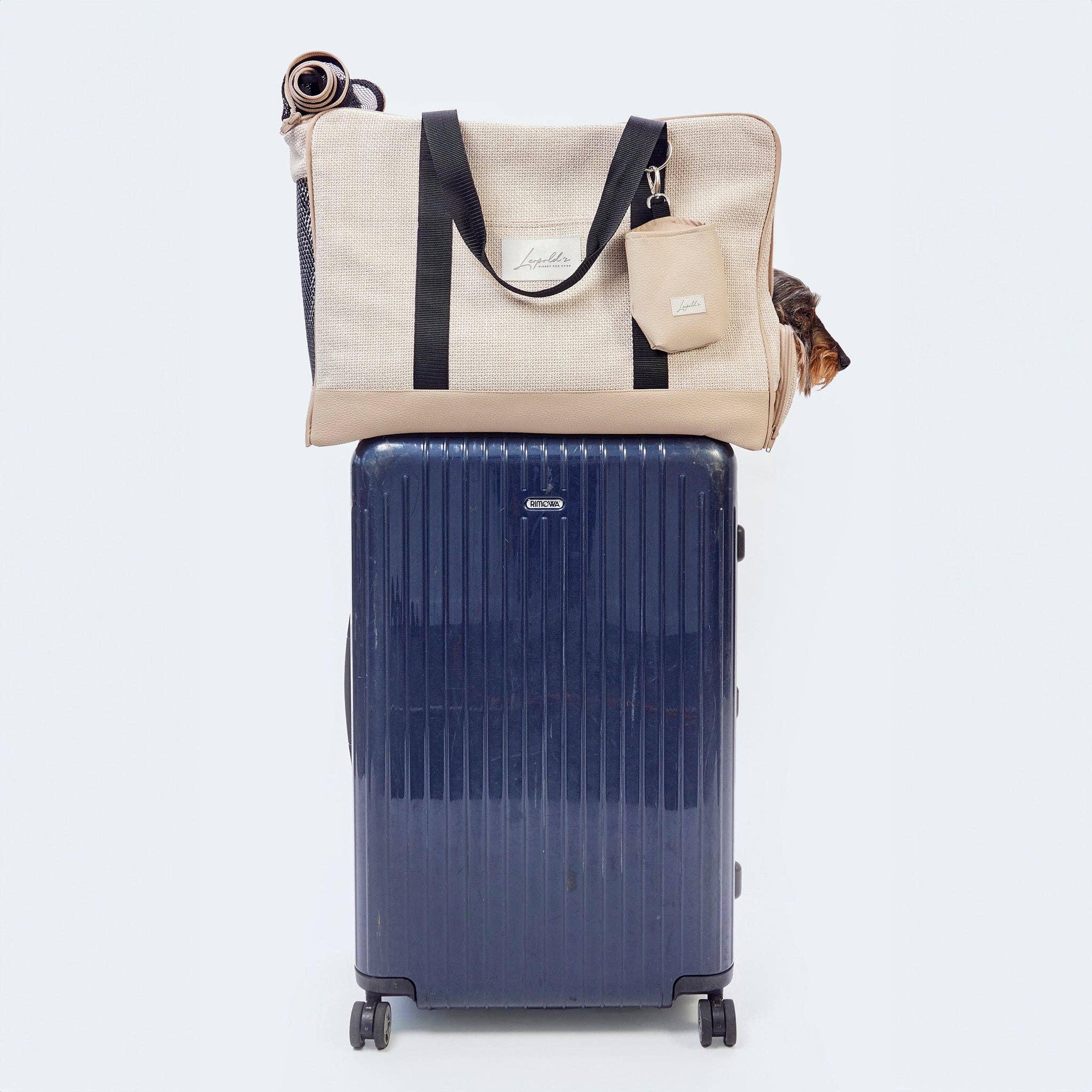 Flugtasche für Dackel und kleine Hunde mit orthopädischer Matratze