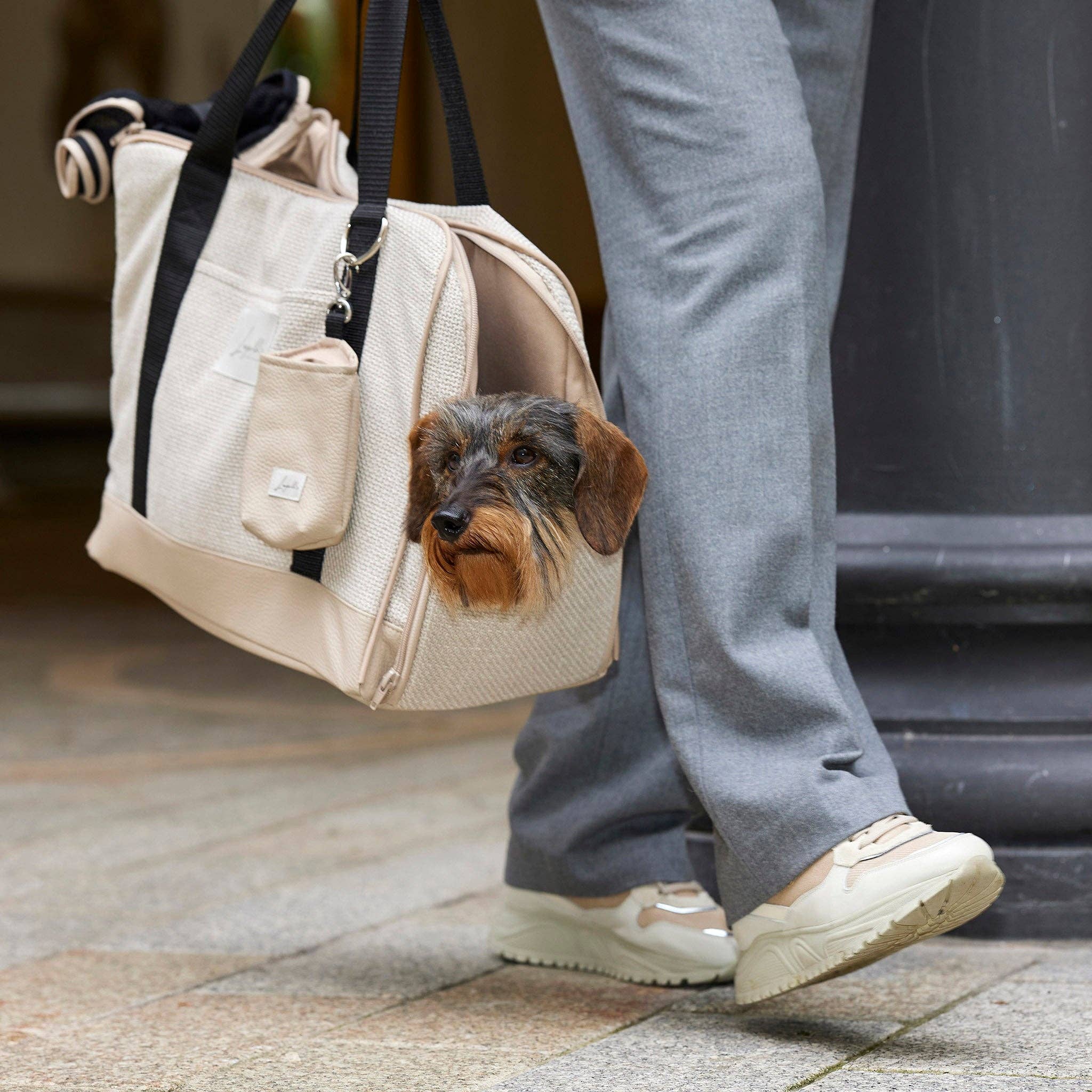 Flugtasche für Dackel und kleine Hunde mit orthopädischer Matratze