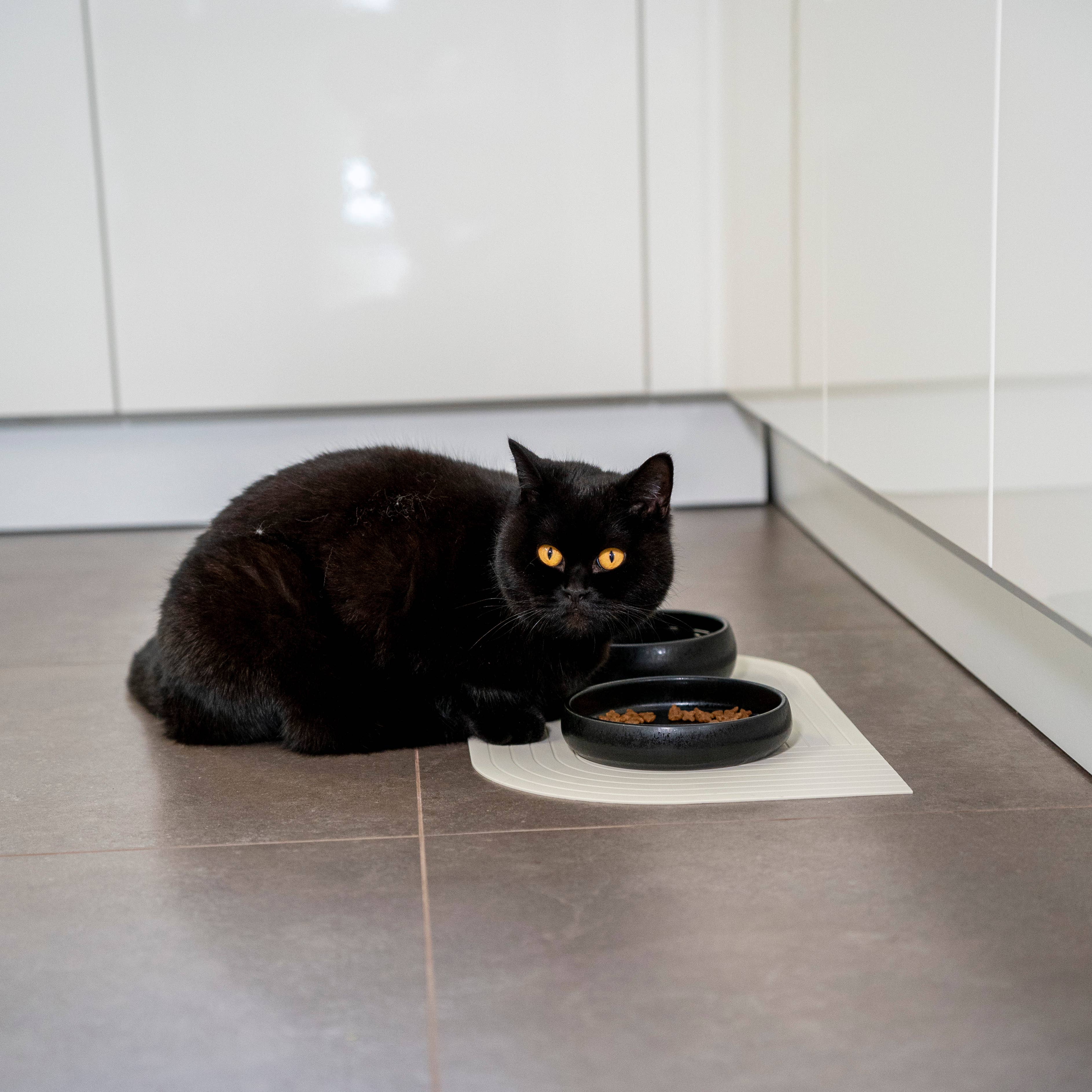 Gourmet Futternapf Schwarz