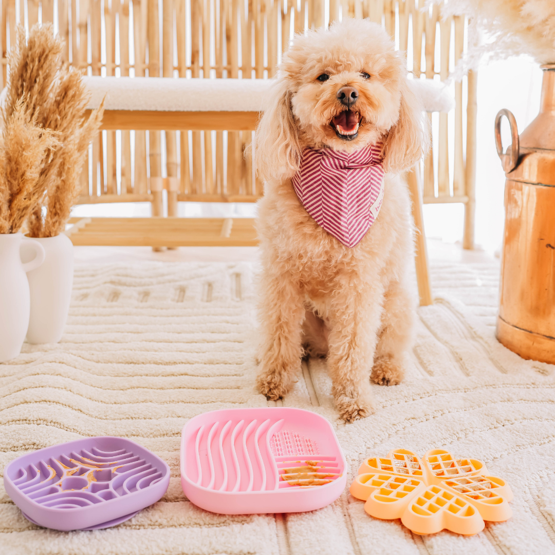 Schleckmatte Mini Maze - Flieder