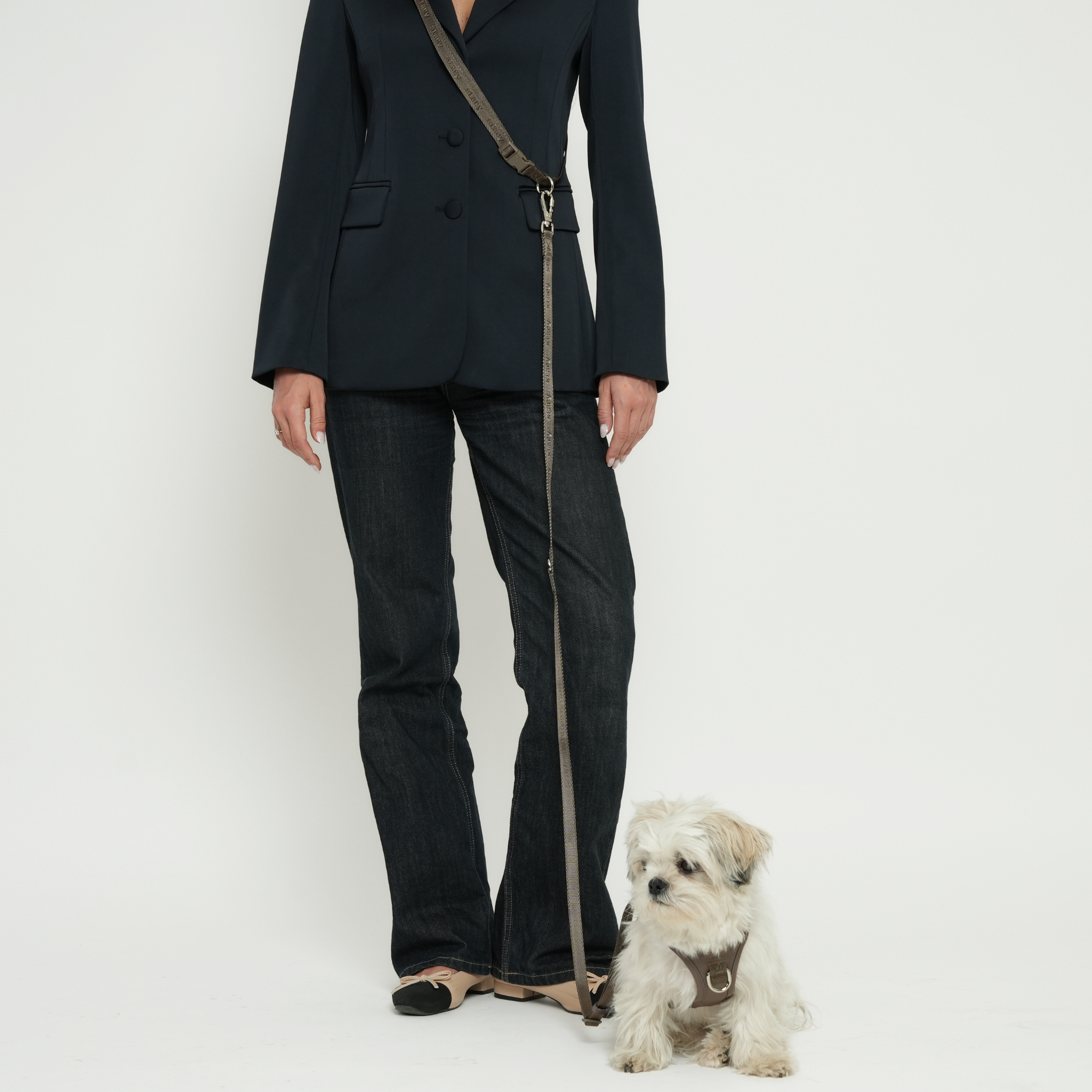 Freihändige Hundeleine – Mocca