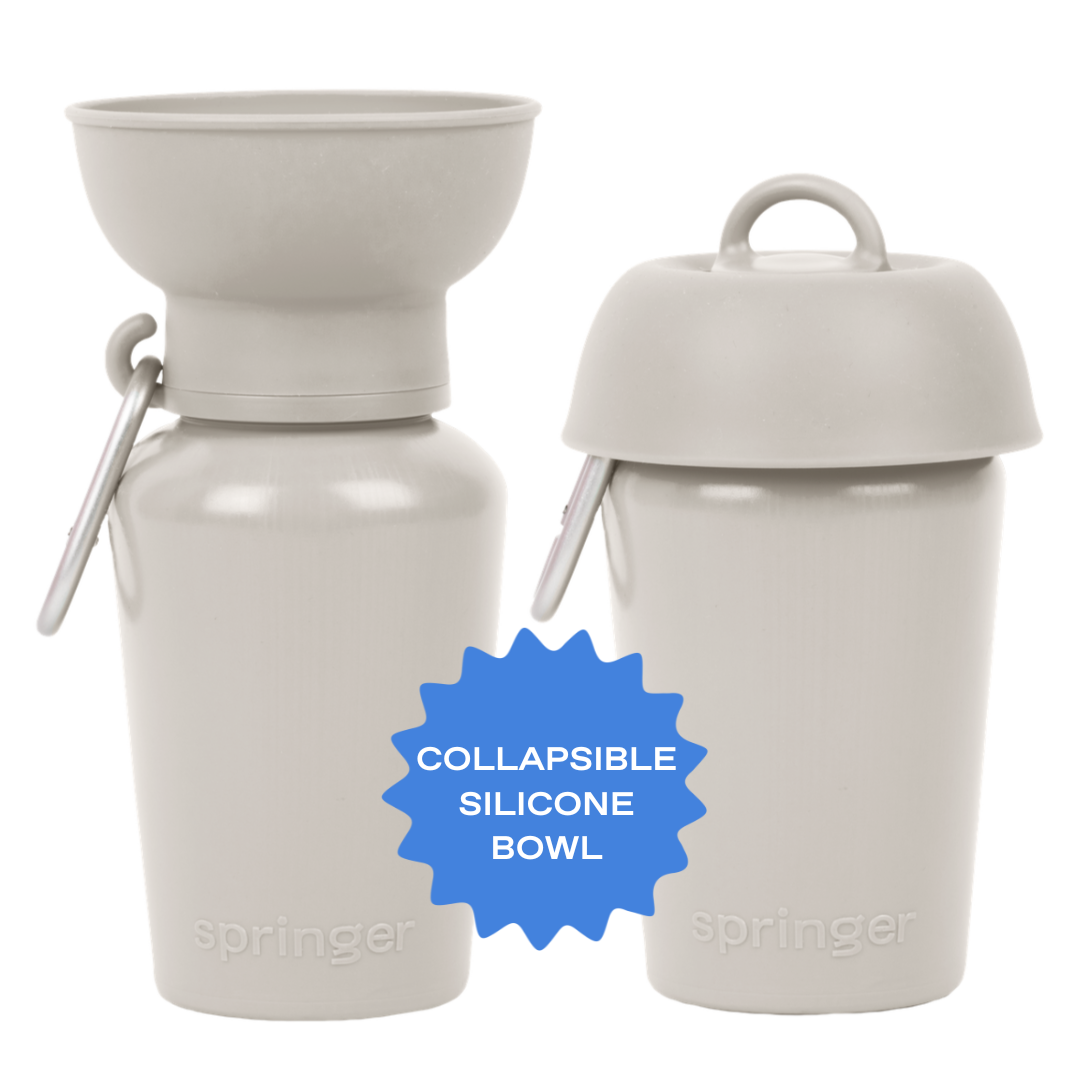 Springer Pets - Reisetrinkflasche für Hunde