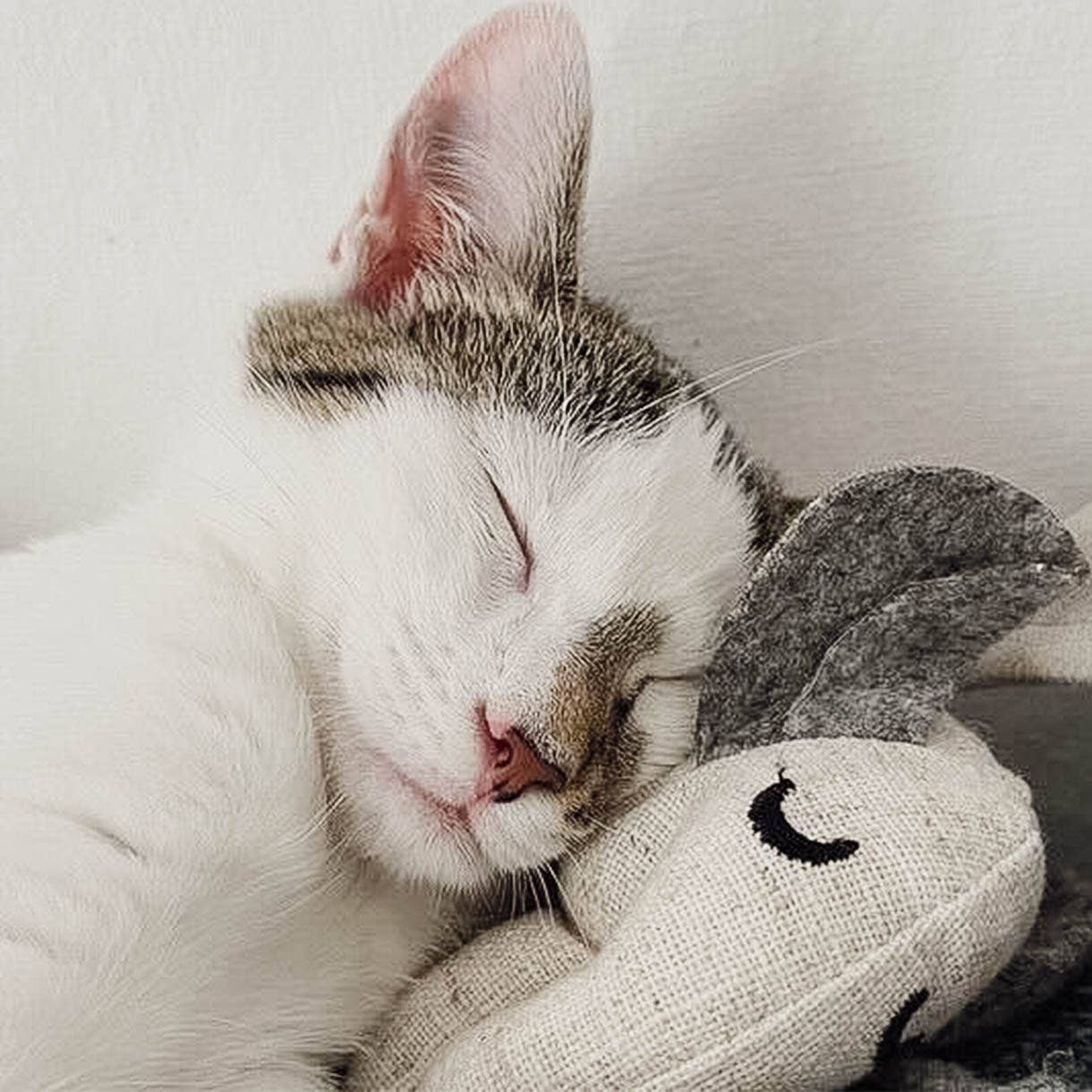 Katzenspielzeug mit Katzenminze -3er Set- inkl.Refill