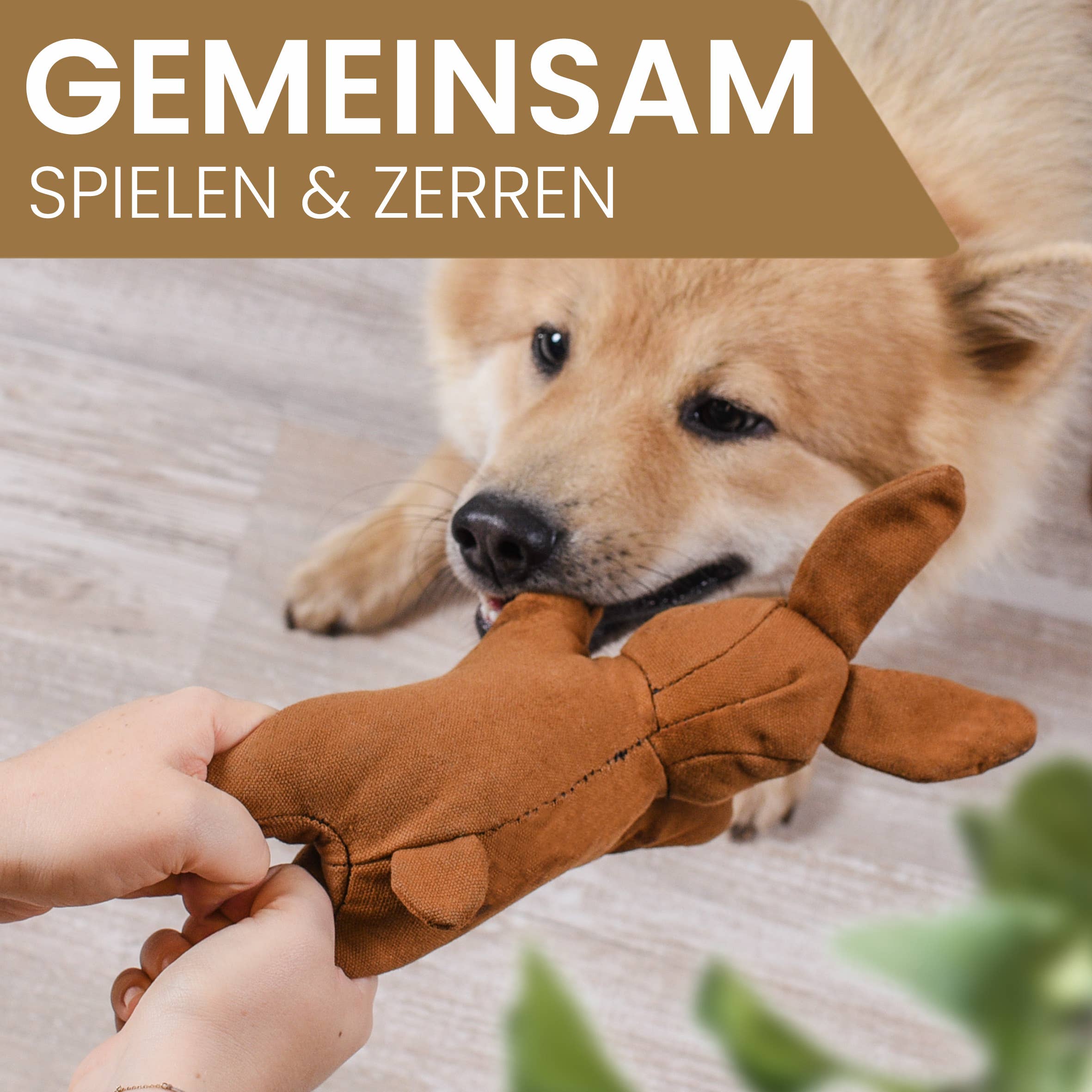 Robustes Hundespielzeug mit Quietscher - Hase Haru