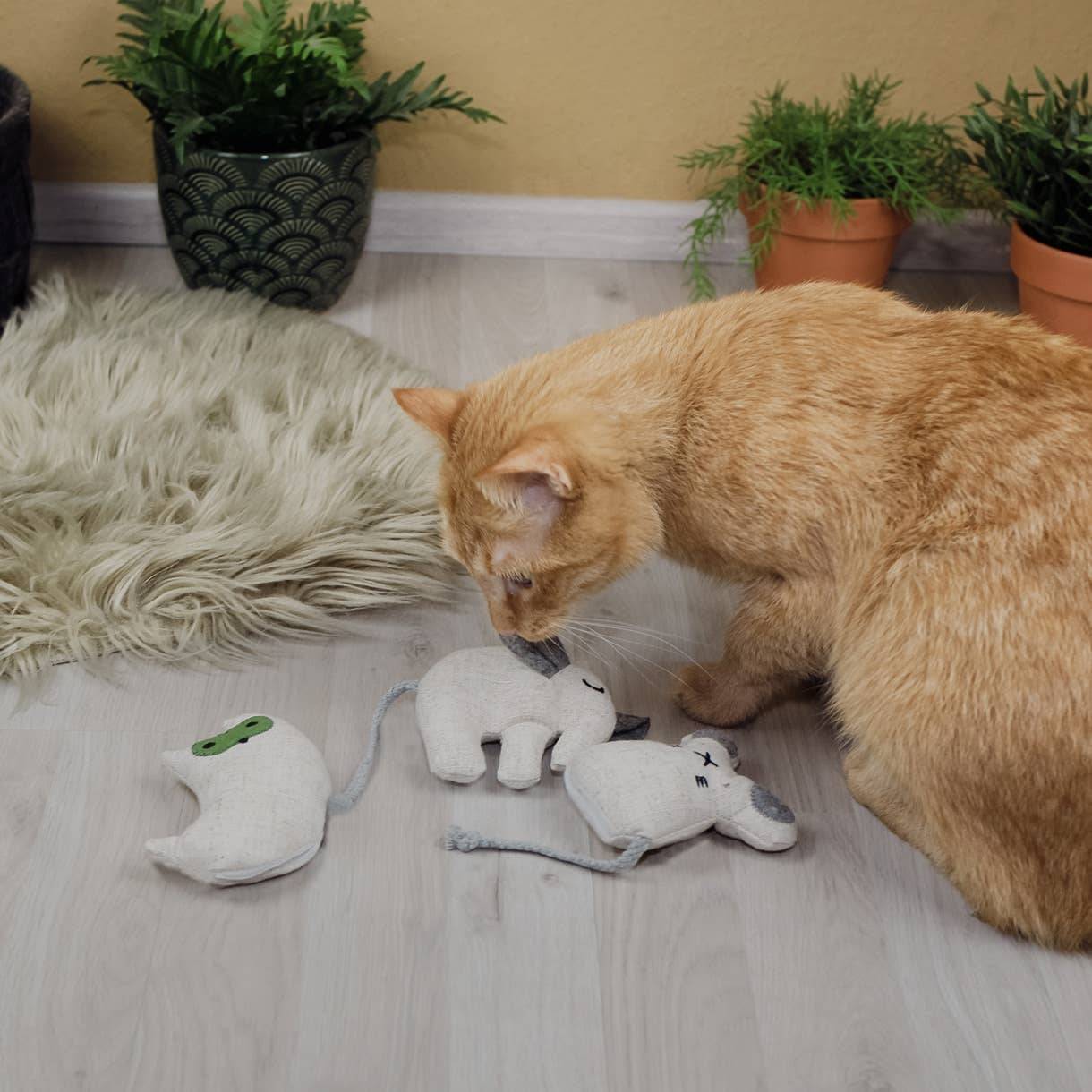 Katzenspielzeug mit Katzenminze -3er Set- inkl.Refill