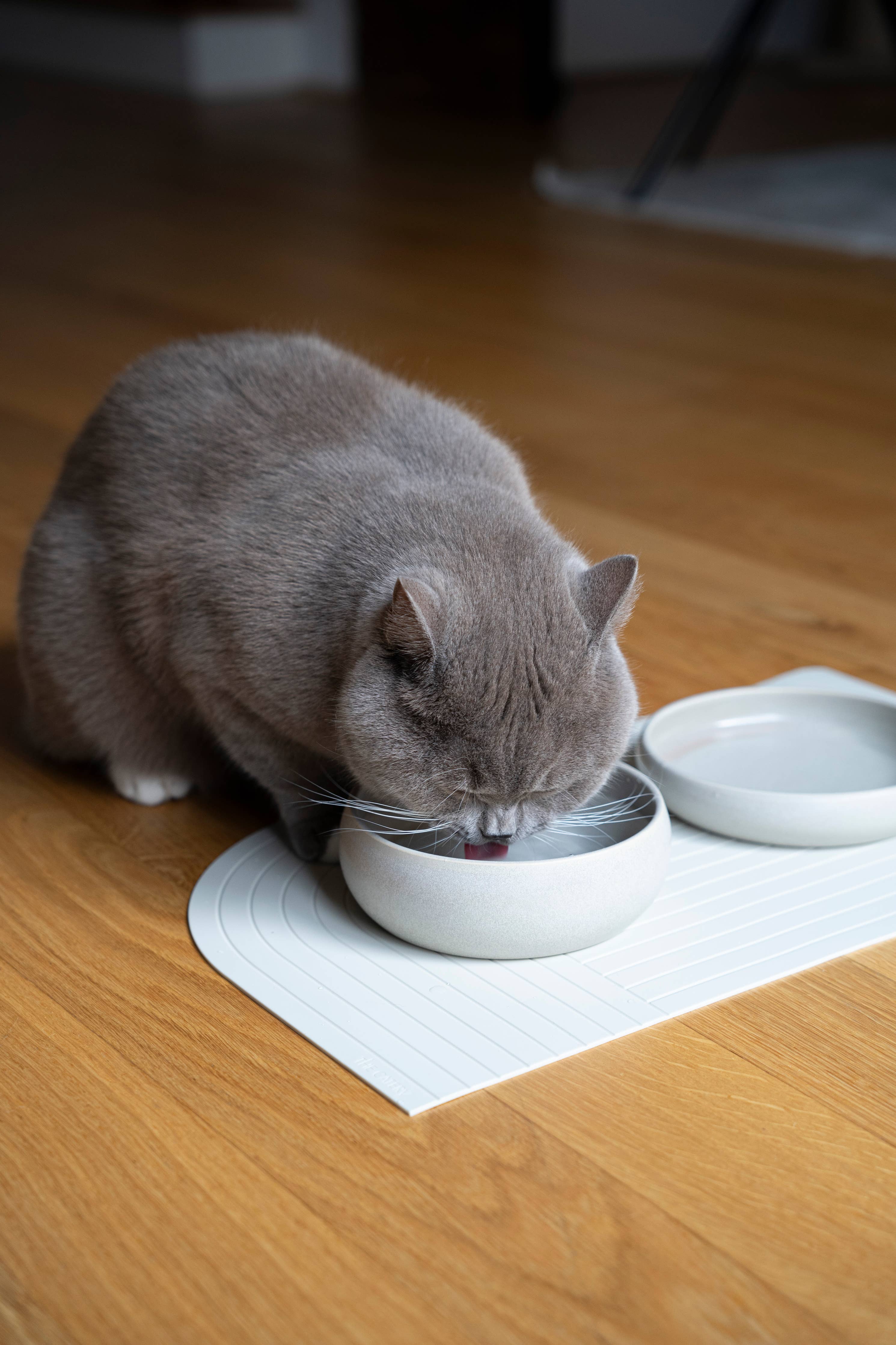 Gourmet Futternapf Creme