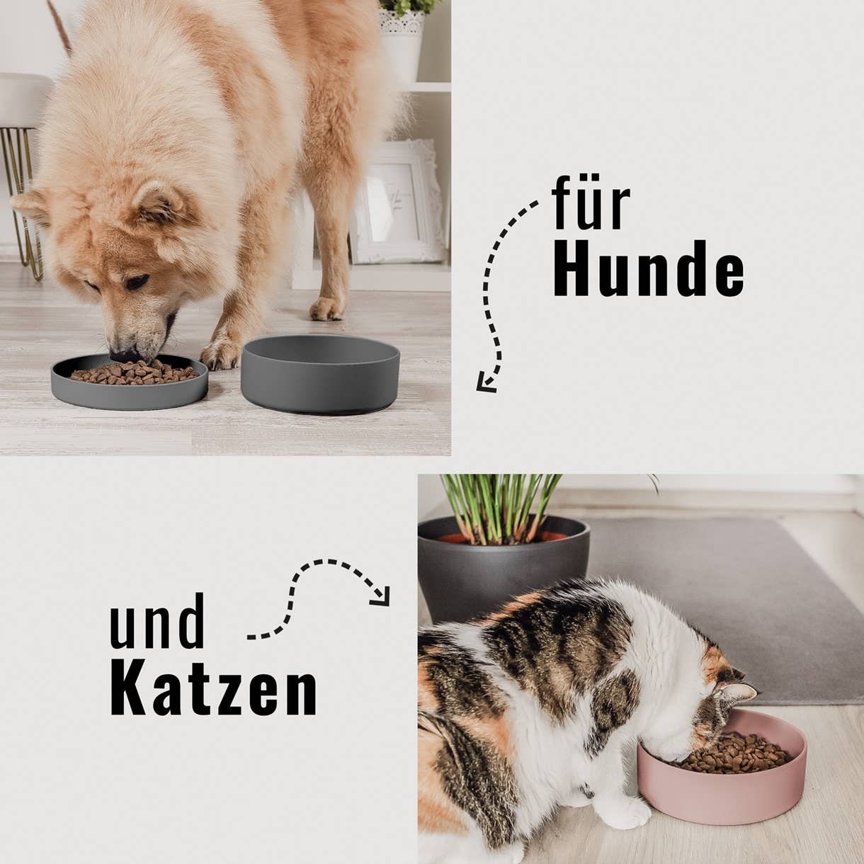Silikon-Futternapf mit Deckel für Hunde & Katzen