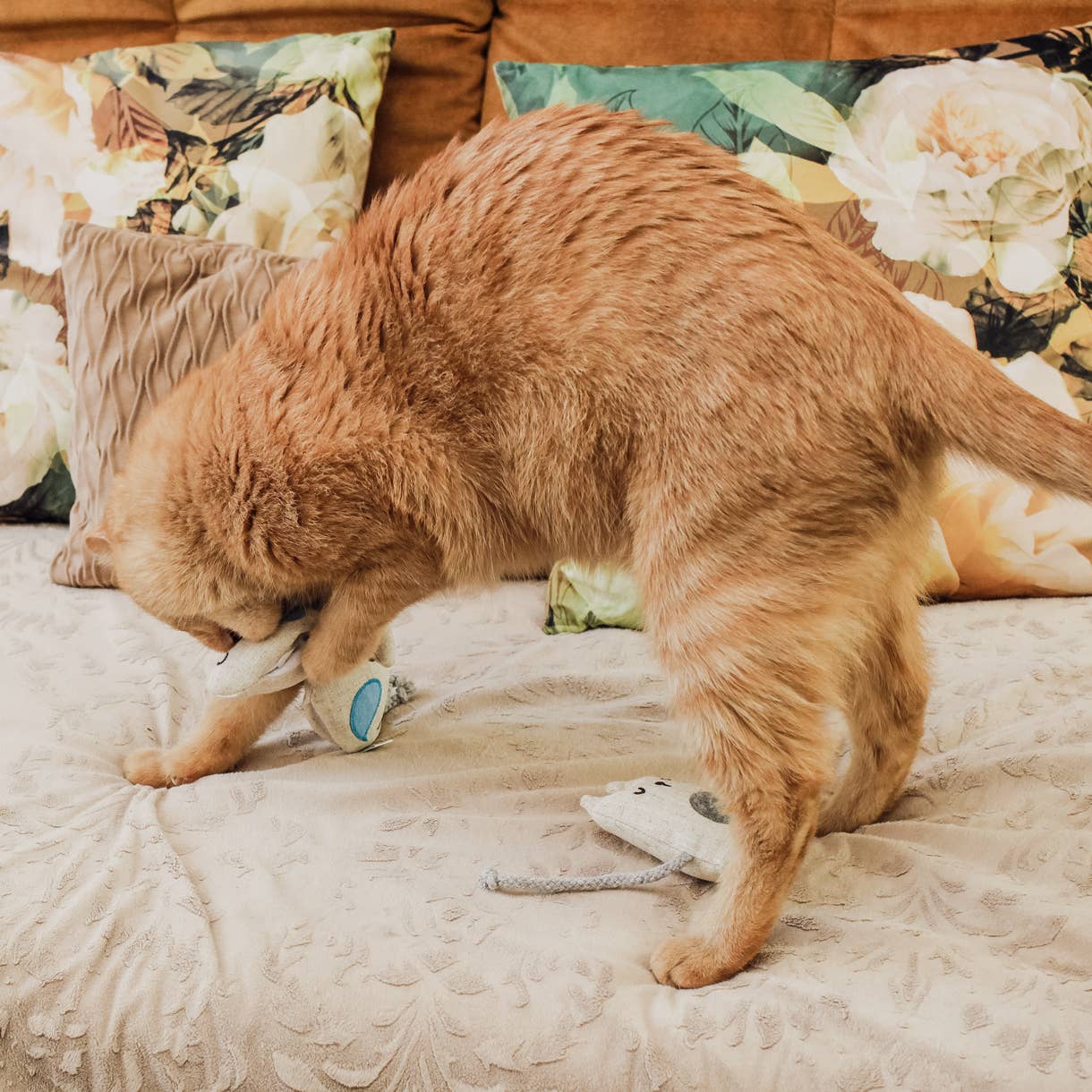 Katzenspielzeug mit Baldrian -3er Set- inkl. Refill