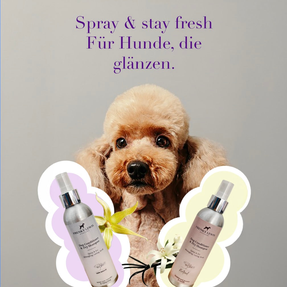 Trockenshampoo und Conditioner White Rose, Lavendel, Ylang -150 ml