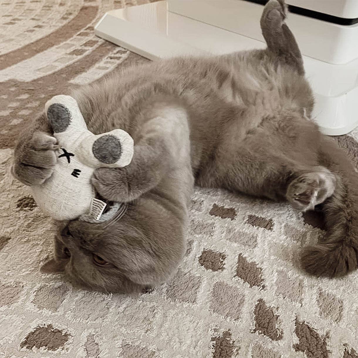 Katzenspielzeug mit Katzenminze -3er Set- inkl.Refill