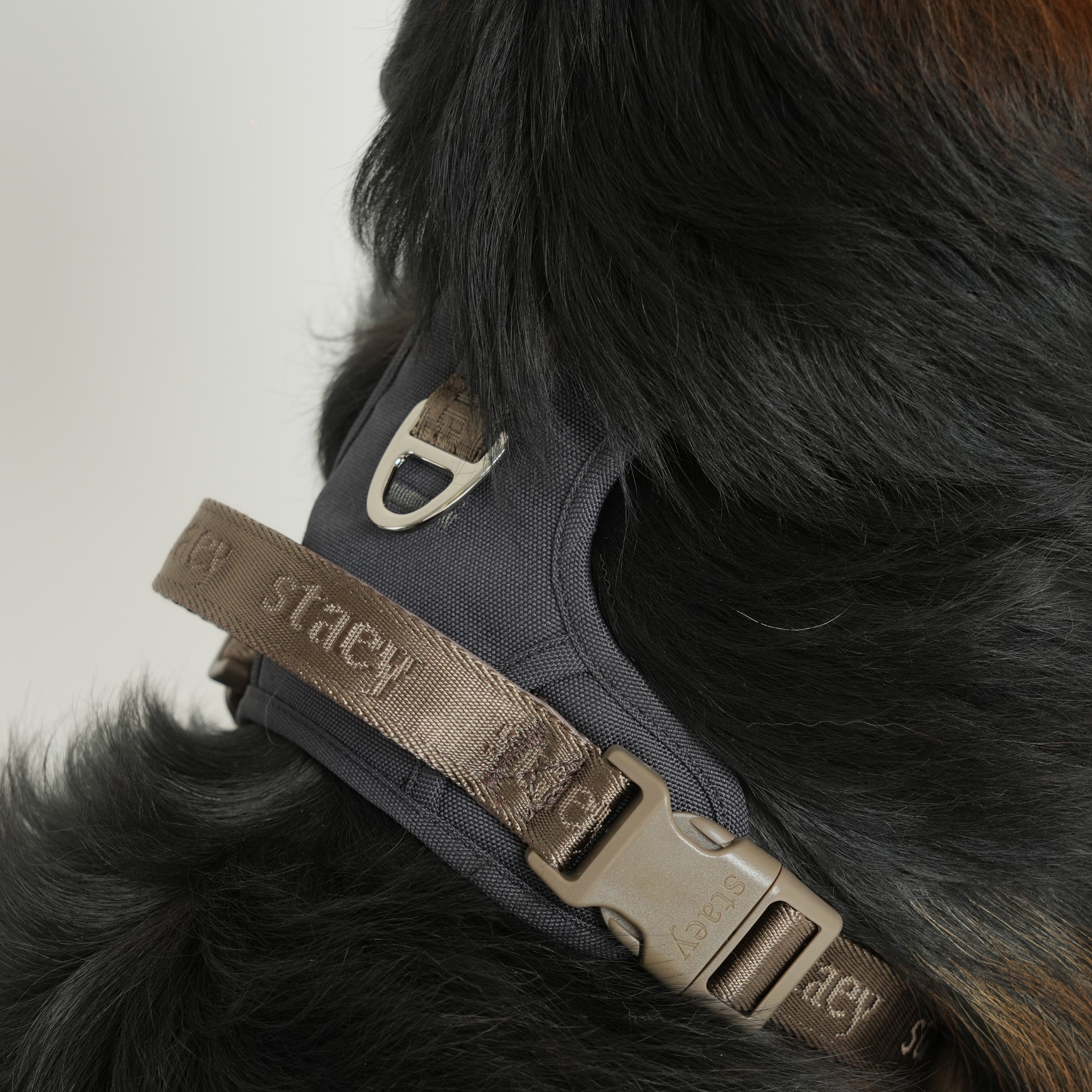 Hundegeschirr Elma Active  | Sturm