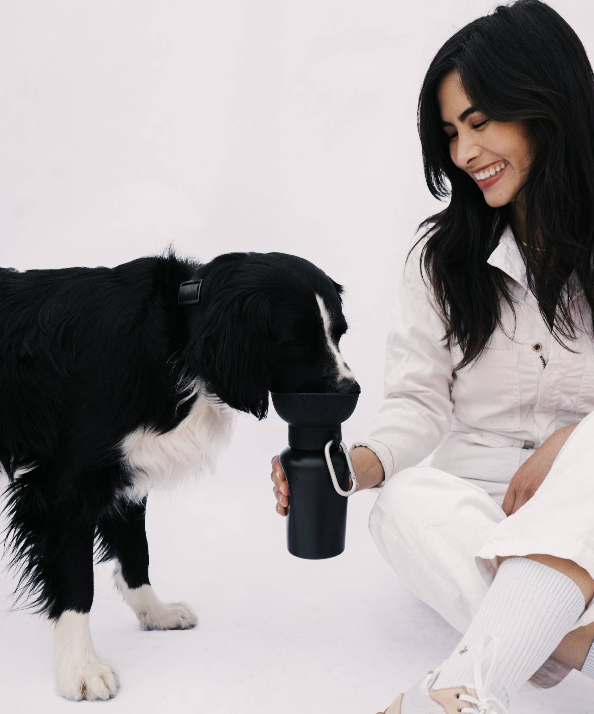 Springer Pets - Reisetrinkflasche für Hunde