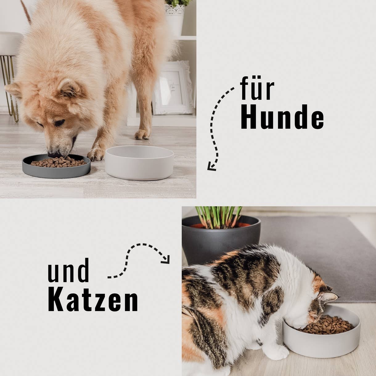 Silikon-Futternapf mit Deckel für Hunde & Katzen– MIX