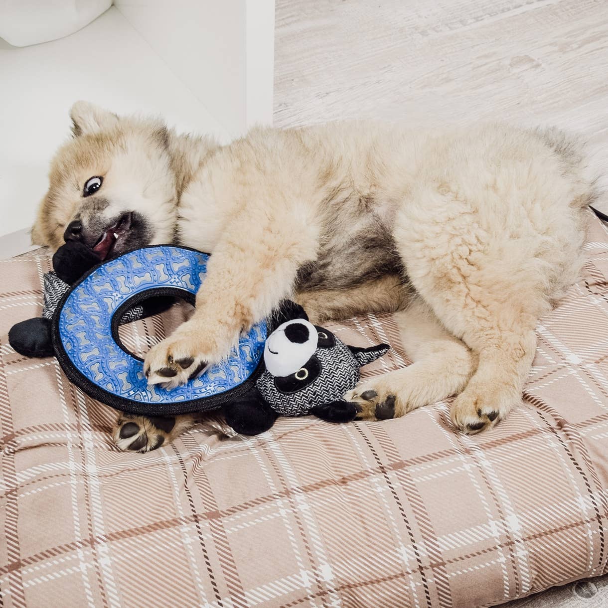 Hundespielzeug Waschbär - quietscht und raschelt