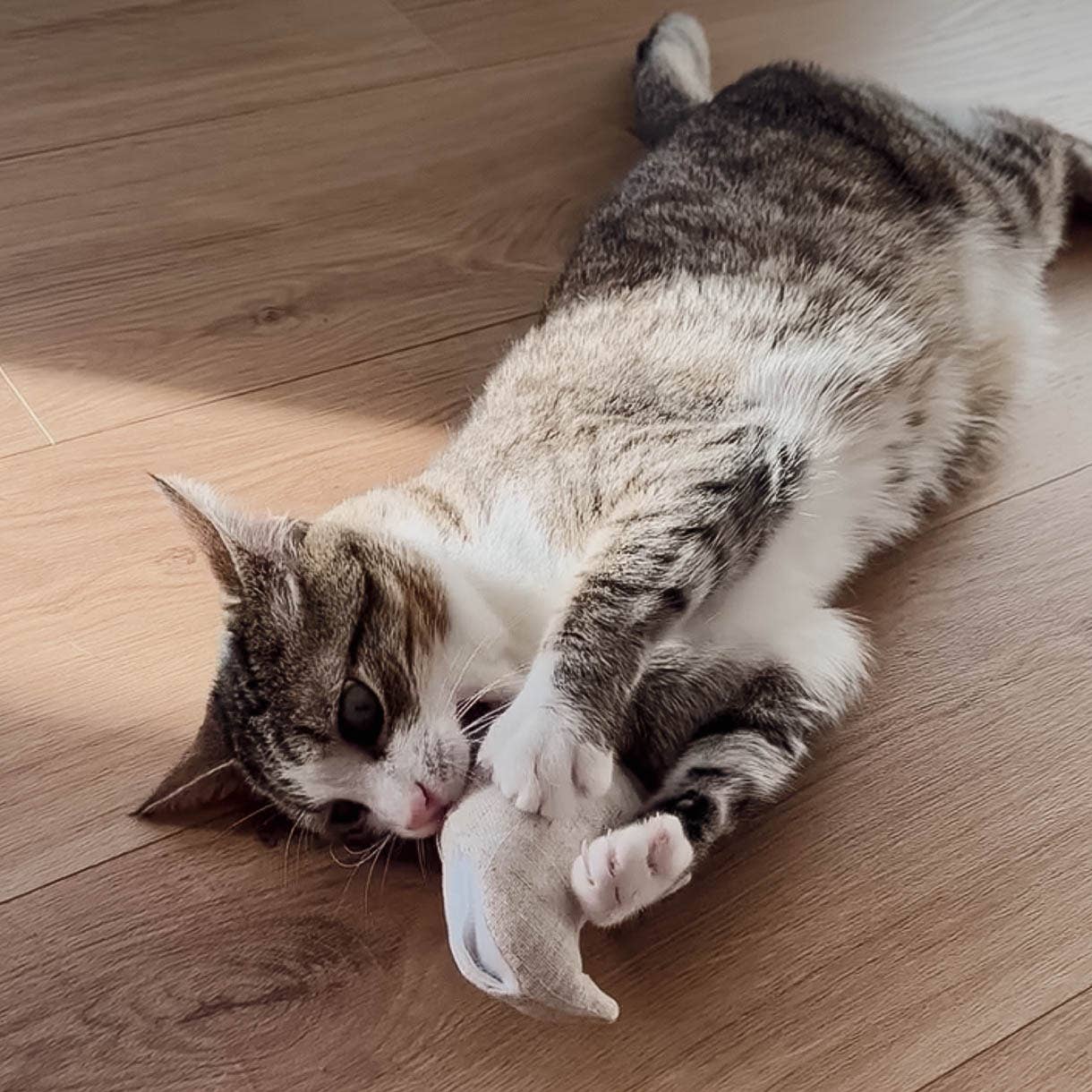 Katzenspielzeug mit Katzenminze -3er Set- inkl.Refill