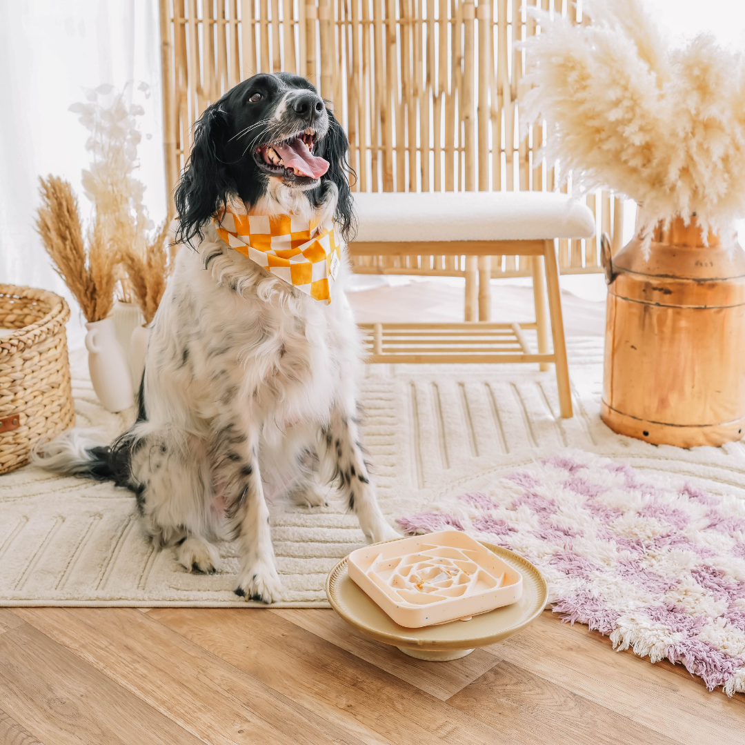 Schleckmatte - Beigeweiß