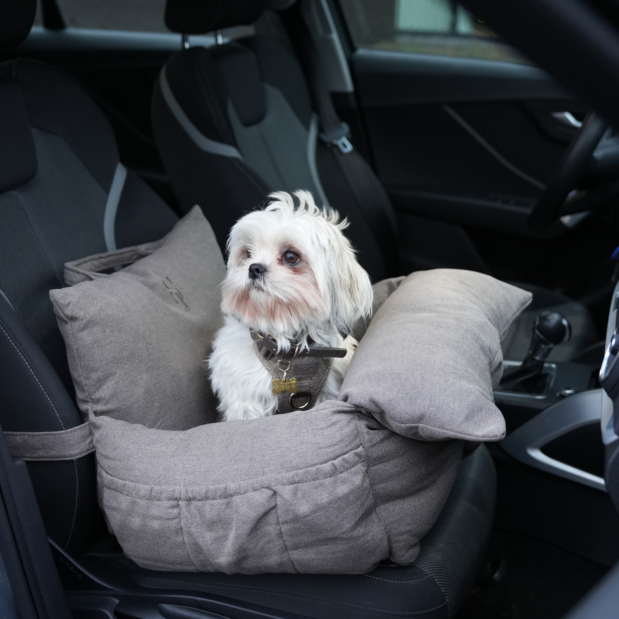 Autositz Lara | Taupe