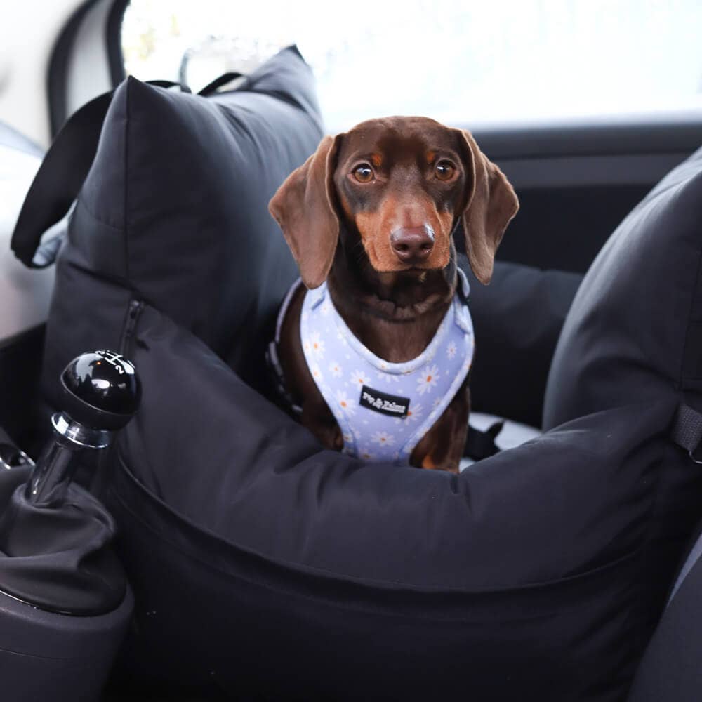 Pip and Palms Hundeautositz Schwarz