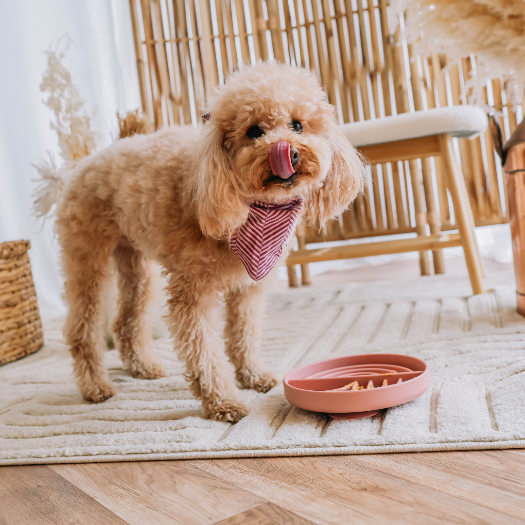 Schleckmatte - Altrosa