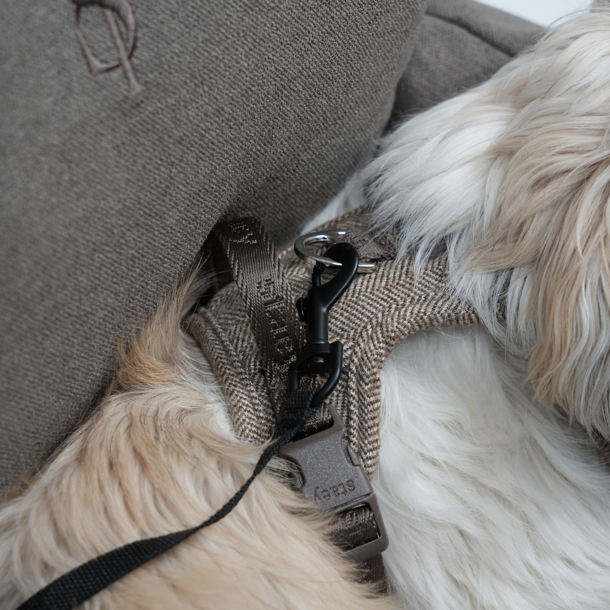 Autositz Lara | Taupe