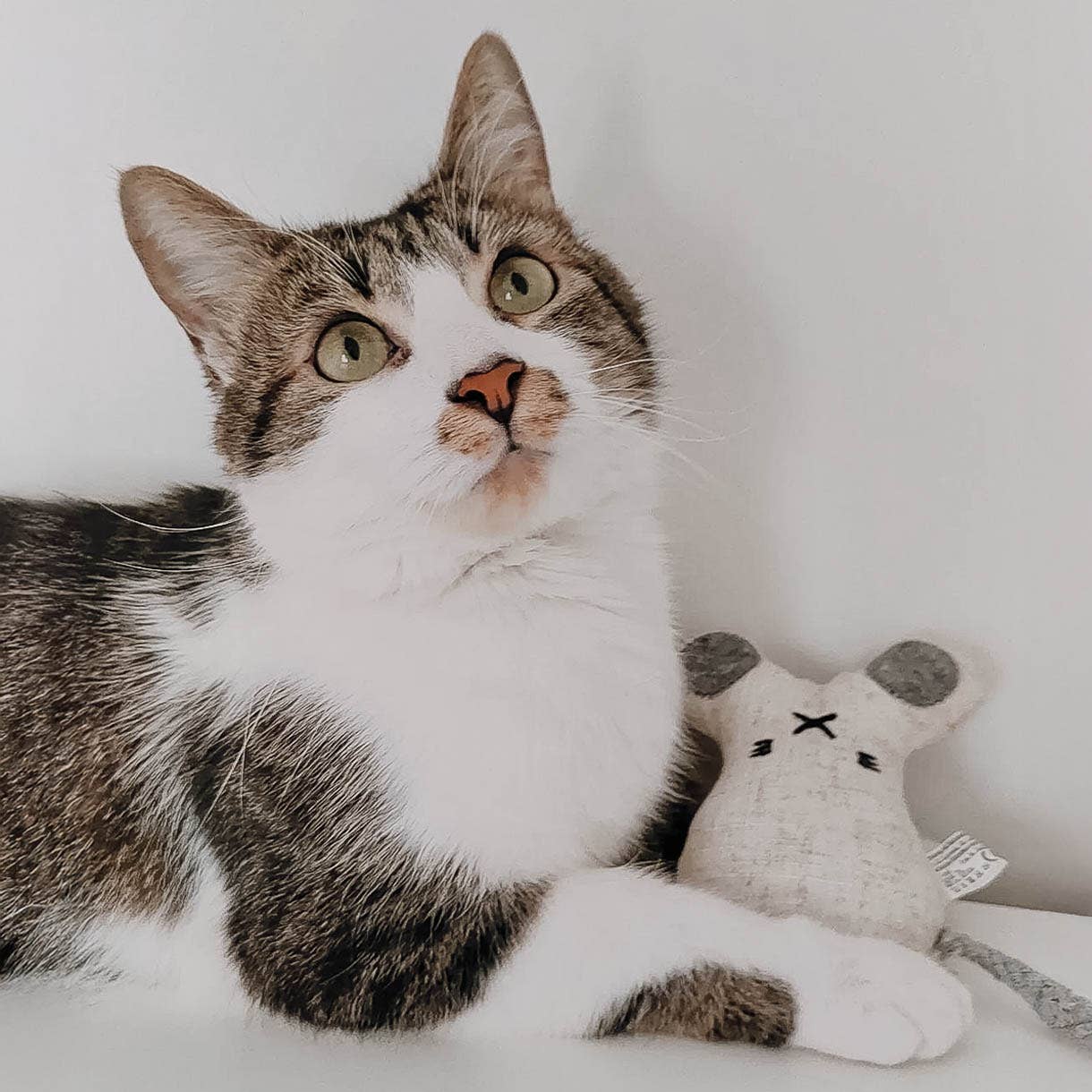 Katzenspielzeug mit Katzenminze -3er Set- inkl.Refill