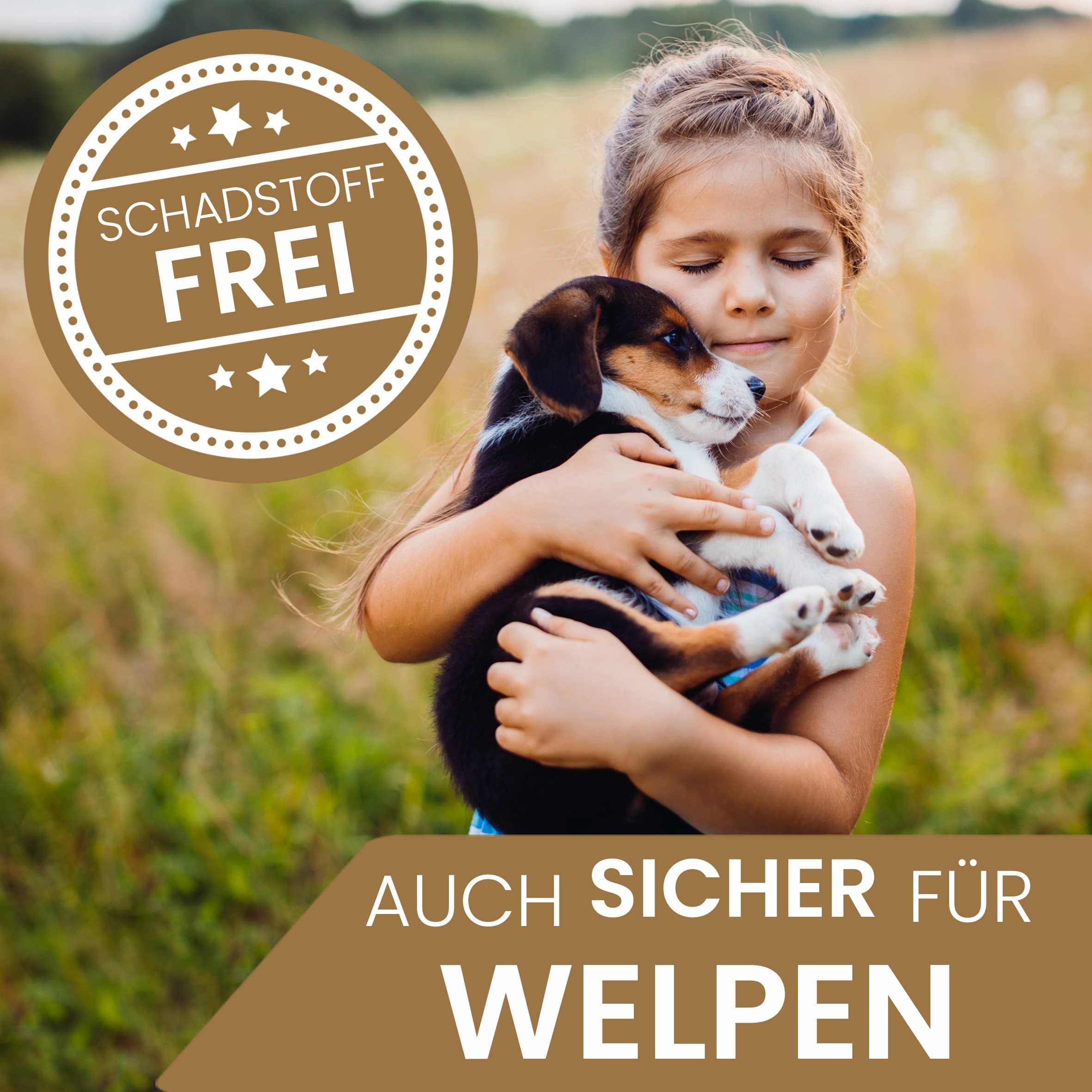 Robustes Hundespielzeug mit Quietscher - Hase Haru