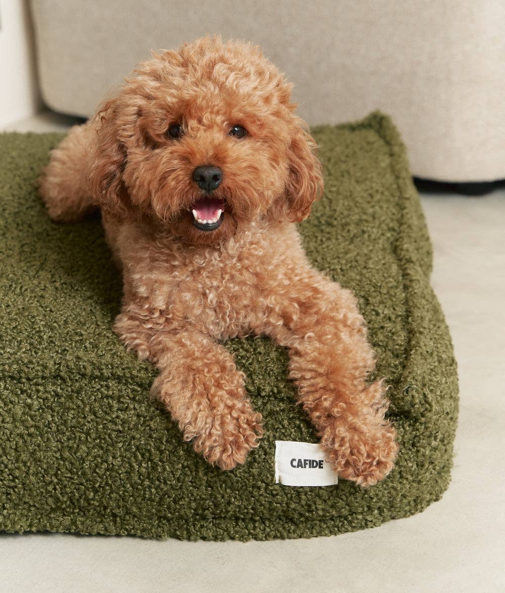 CAFIDE - Grünes Hundebett „Cuadra“ mit Schaffelloptik