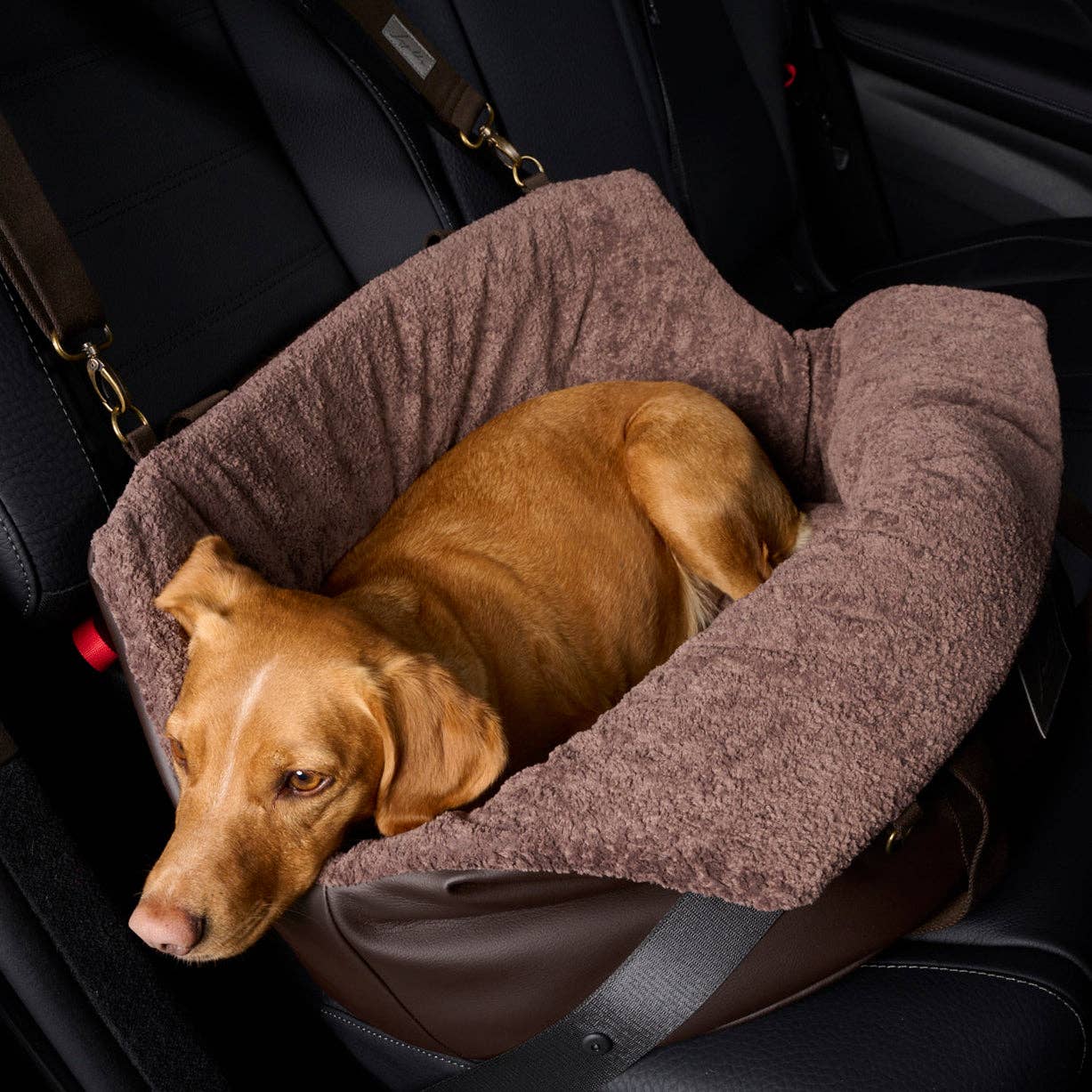 Leopold's Finest Hundereisetasche & Hundeautositz
