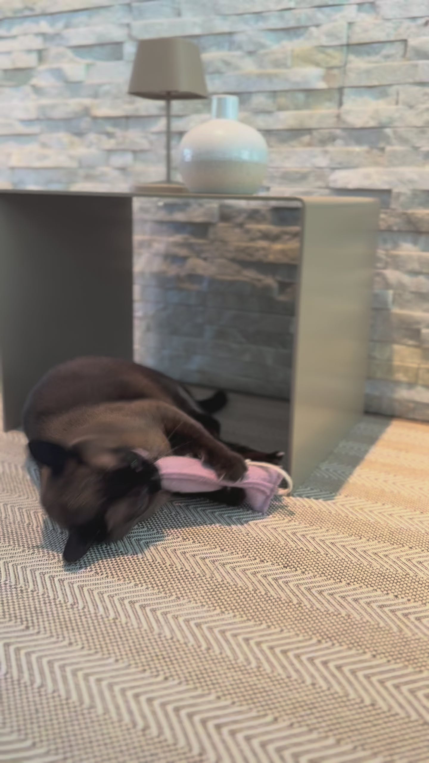 Video laden: Katzenspielzeug Katzenkissen